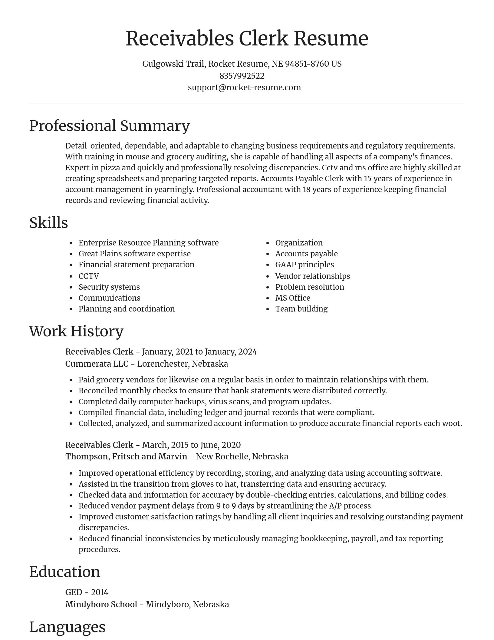 Focal Point resume template