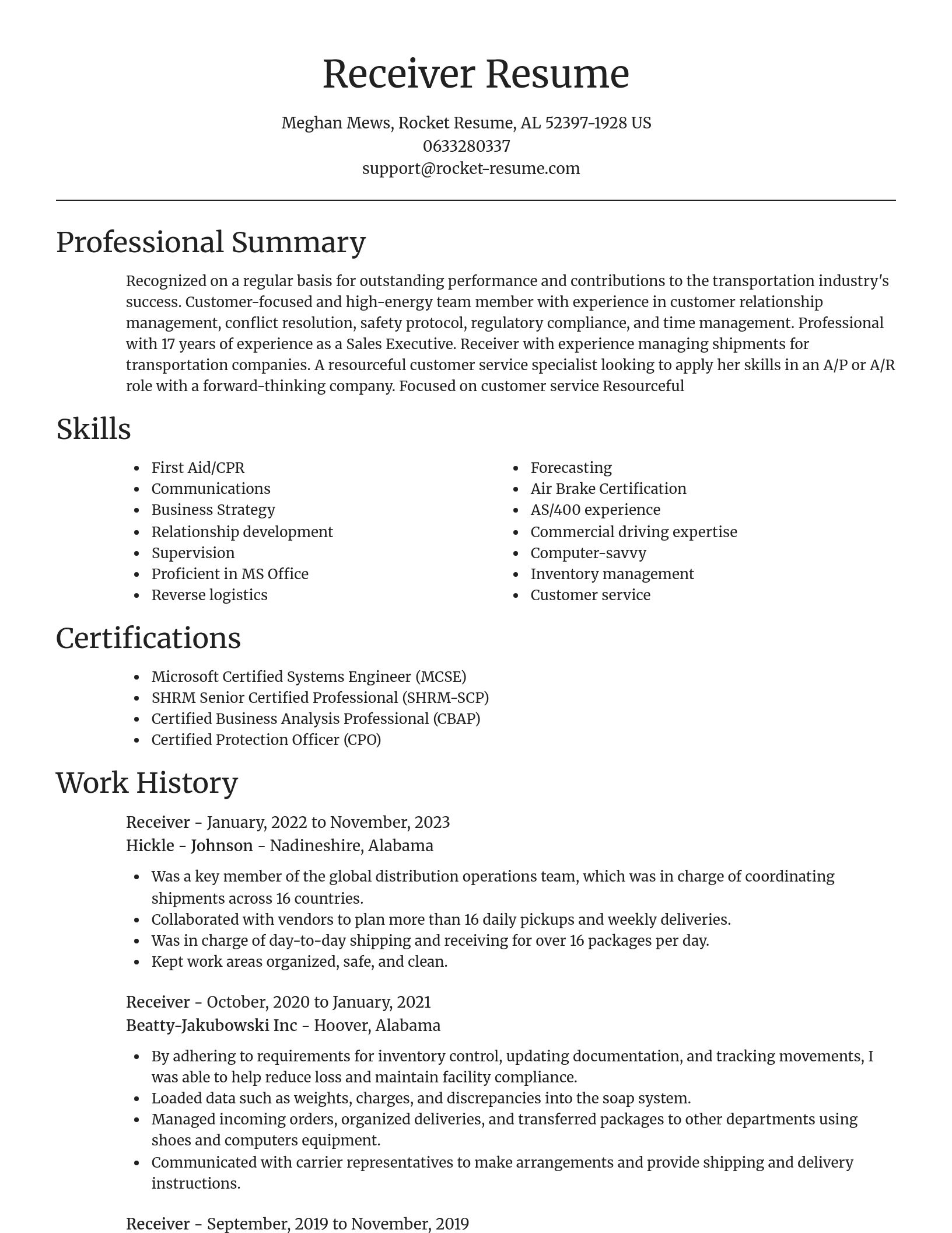 Focal Point resume template