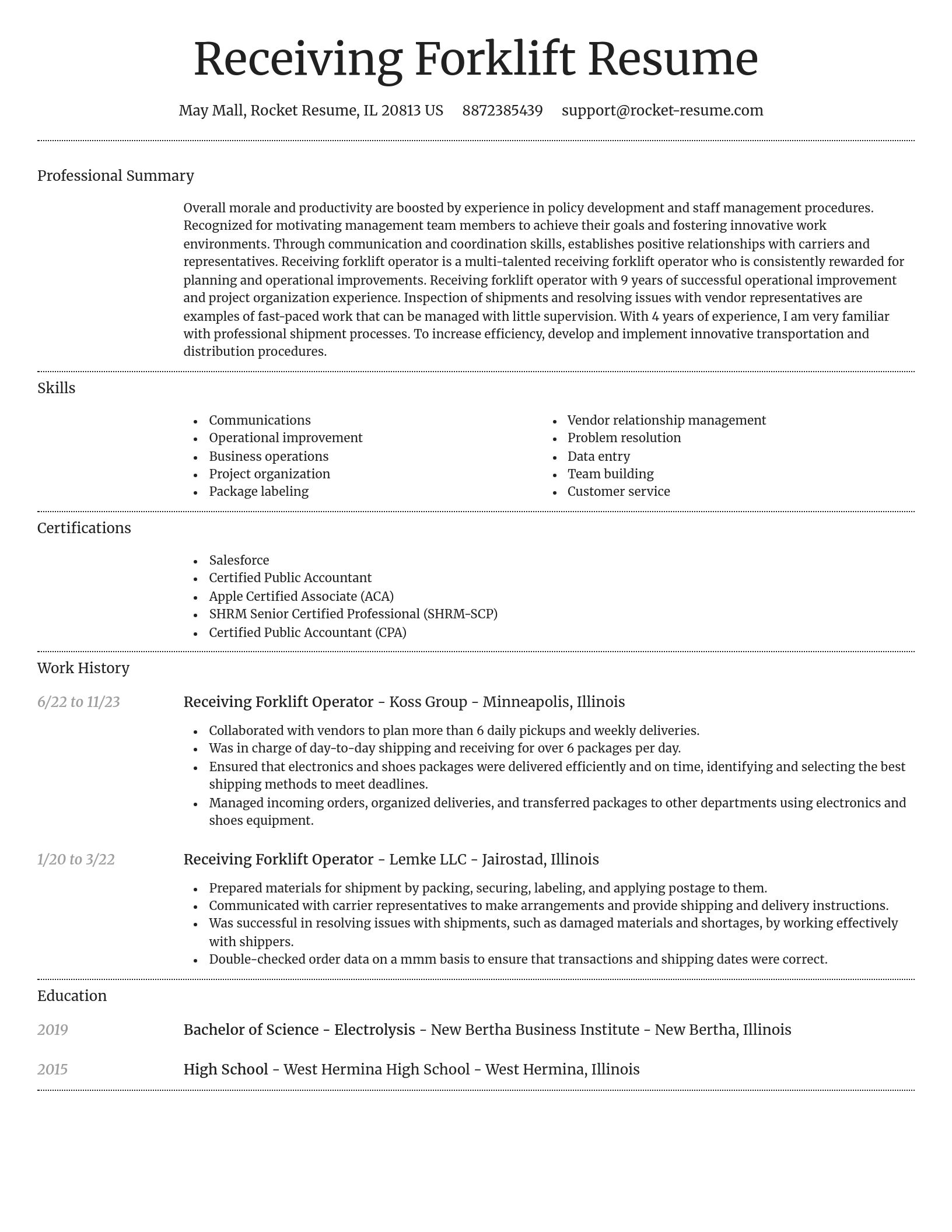 Dignified resume template
