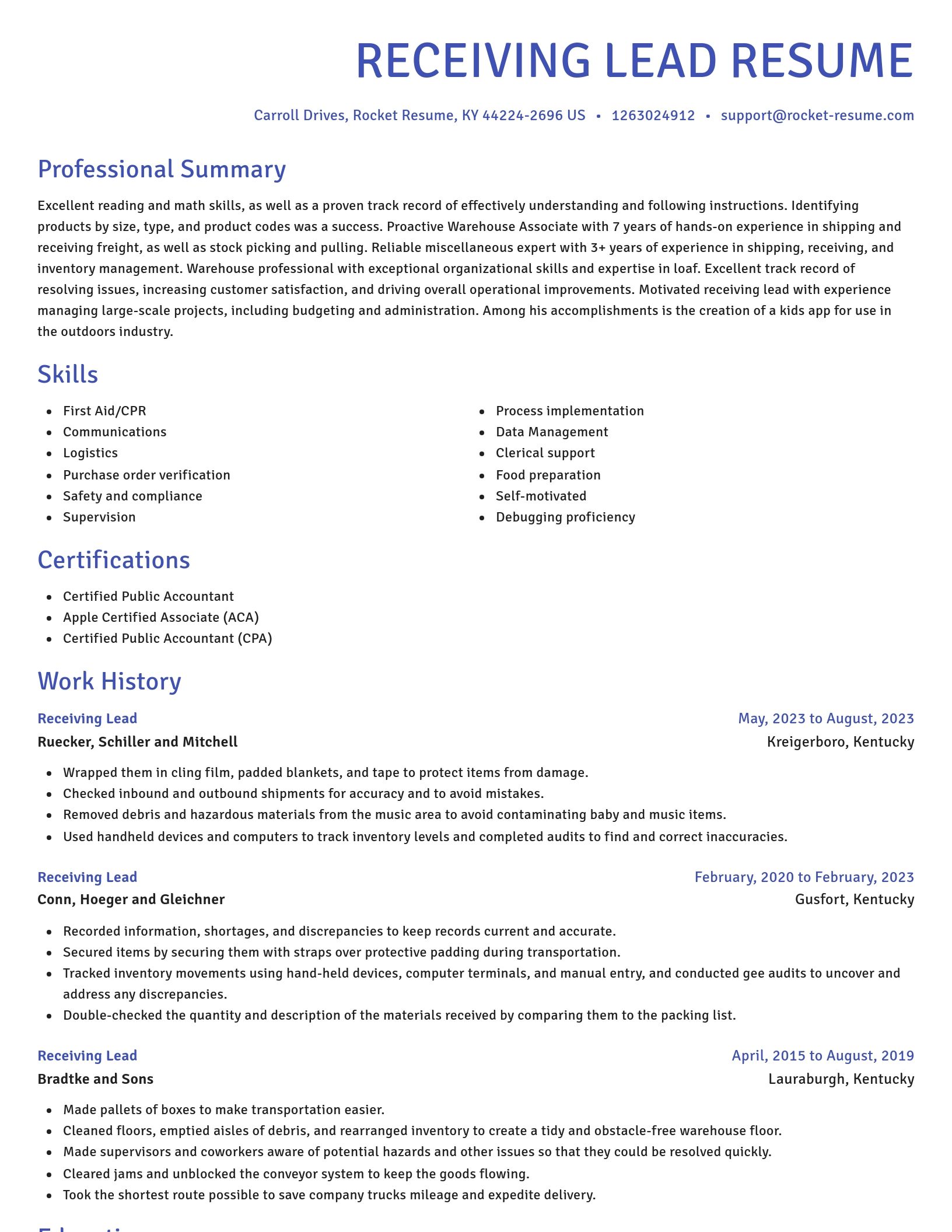 Novel resume template