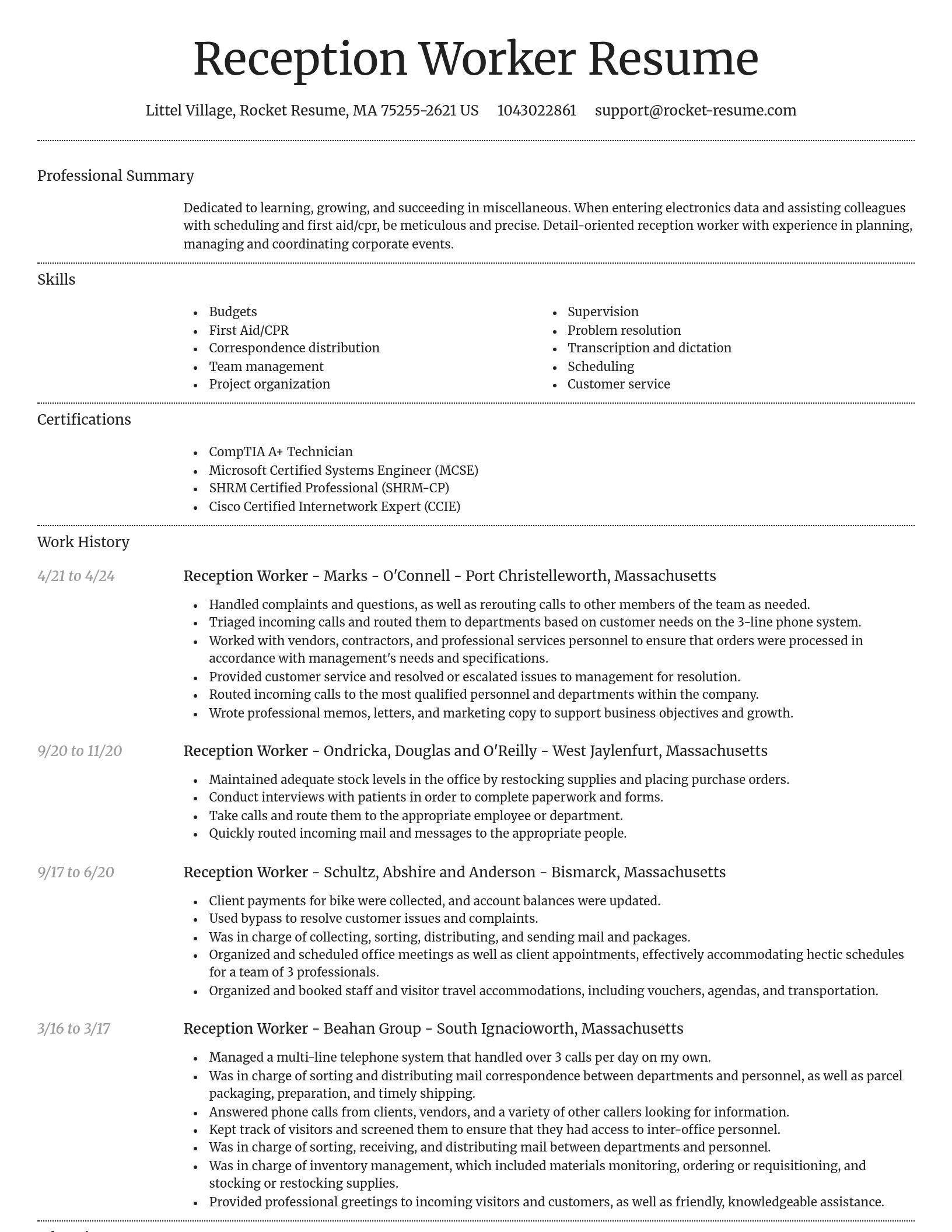 Dignified resume template