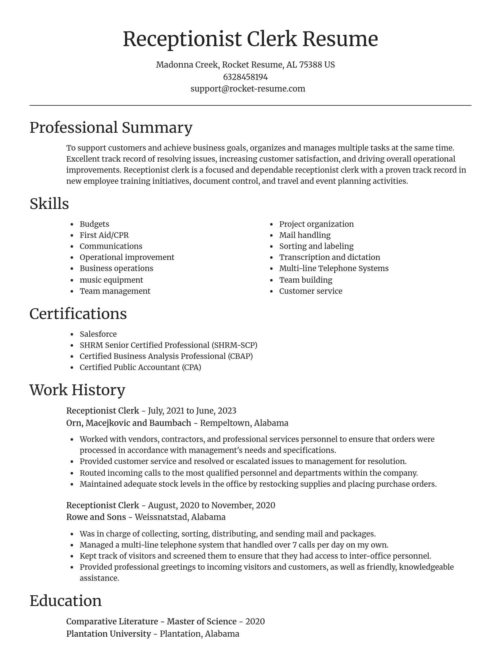 Focal Point resume template