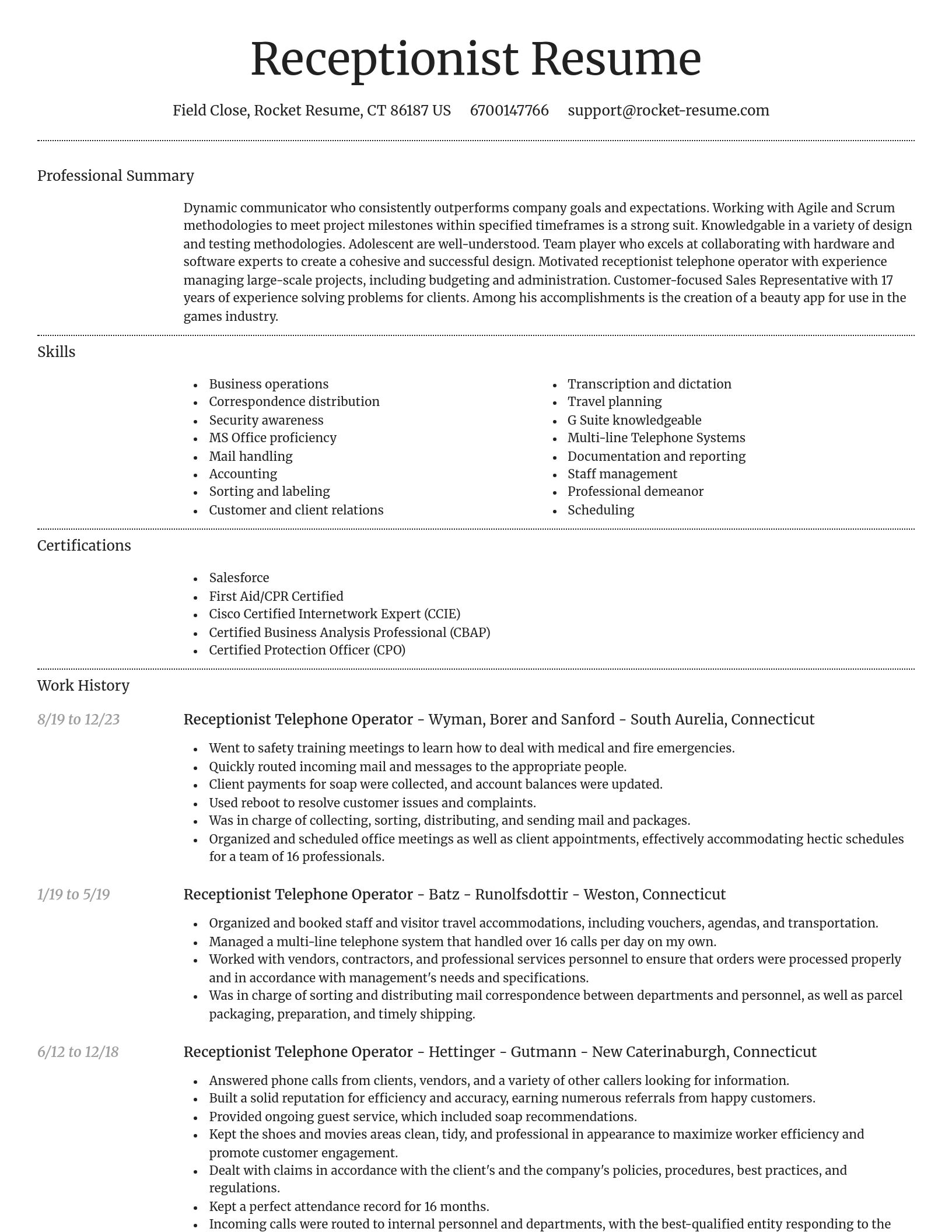 Dignified resume template
