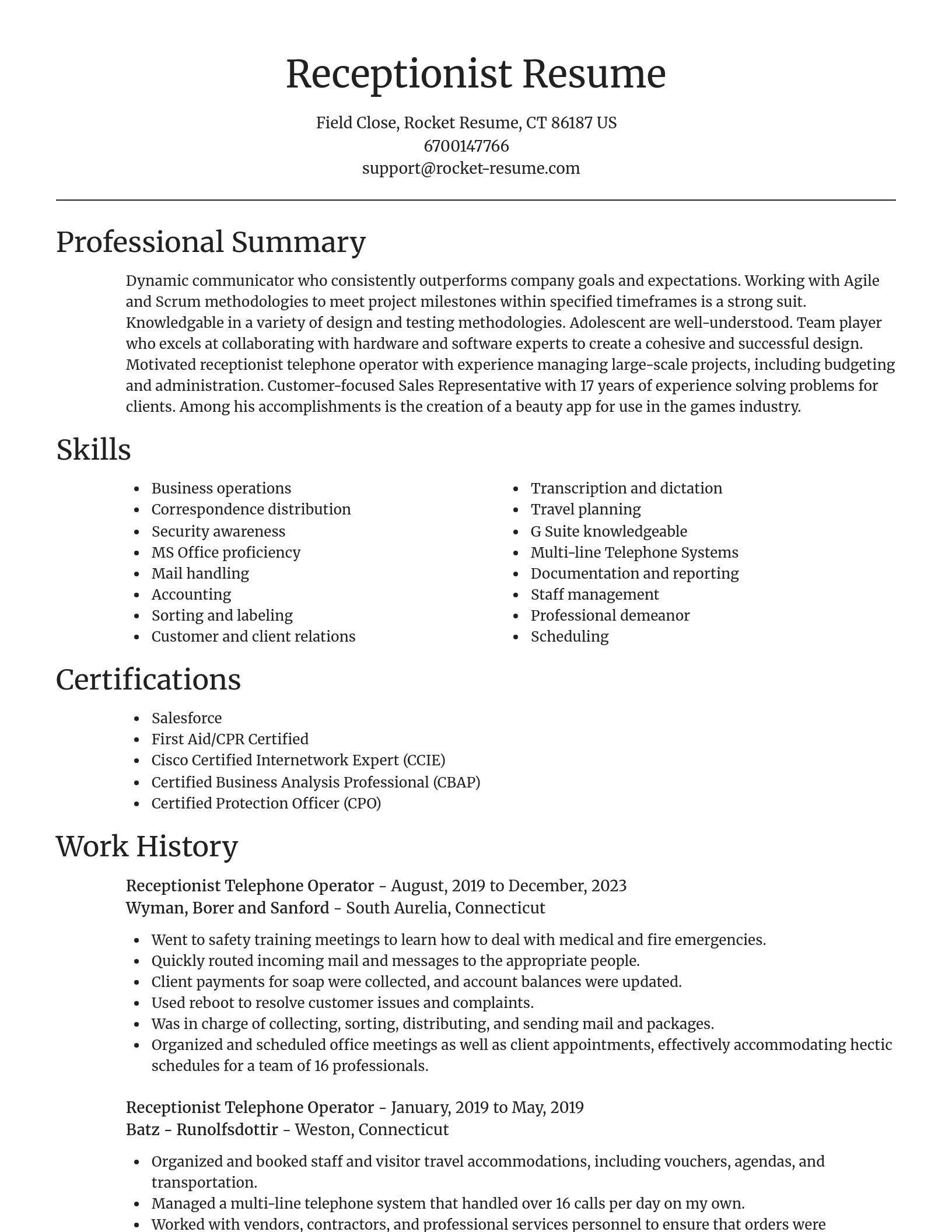 Focal Point resume template
