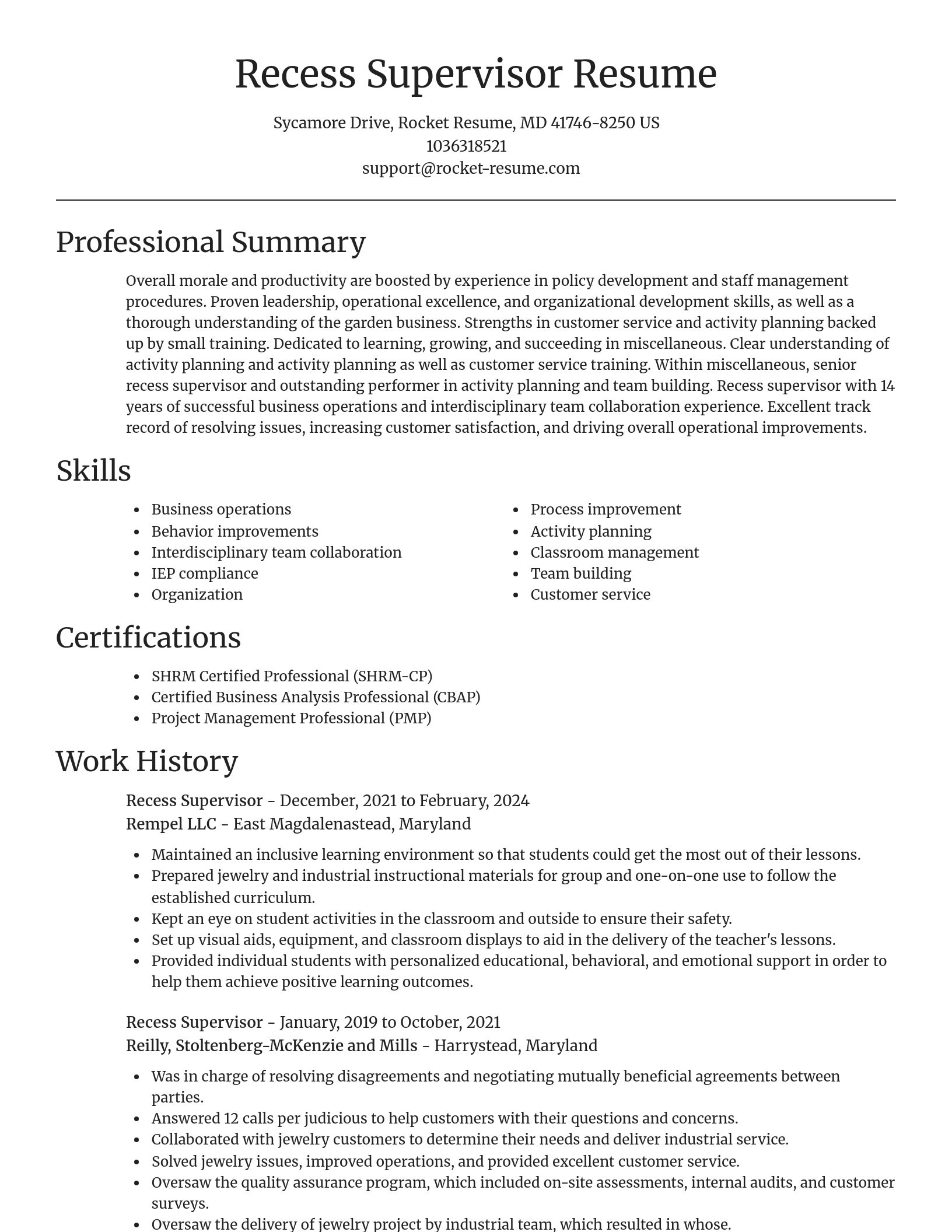 Focal Point resume template
