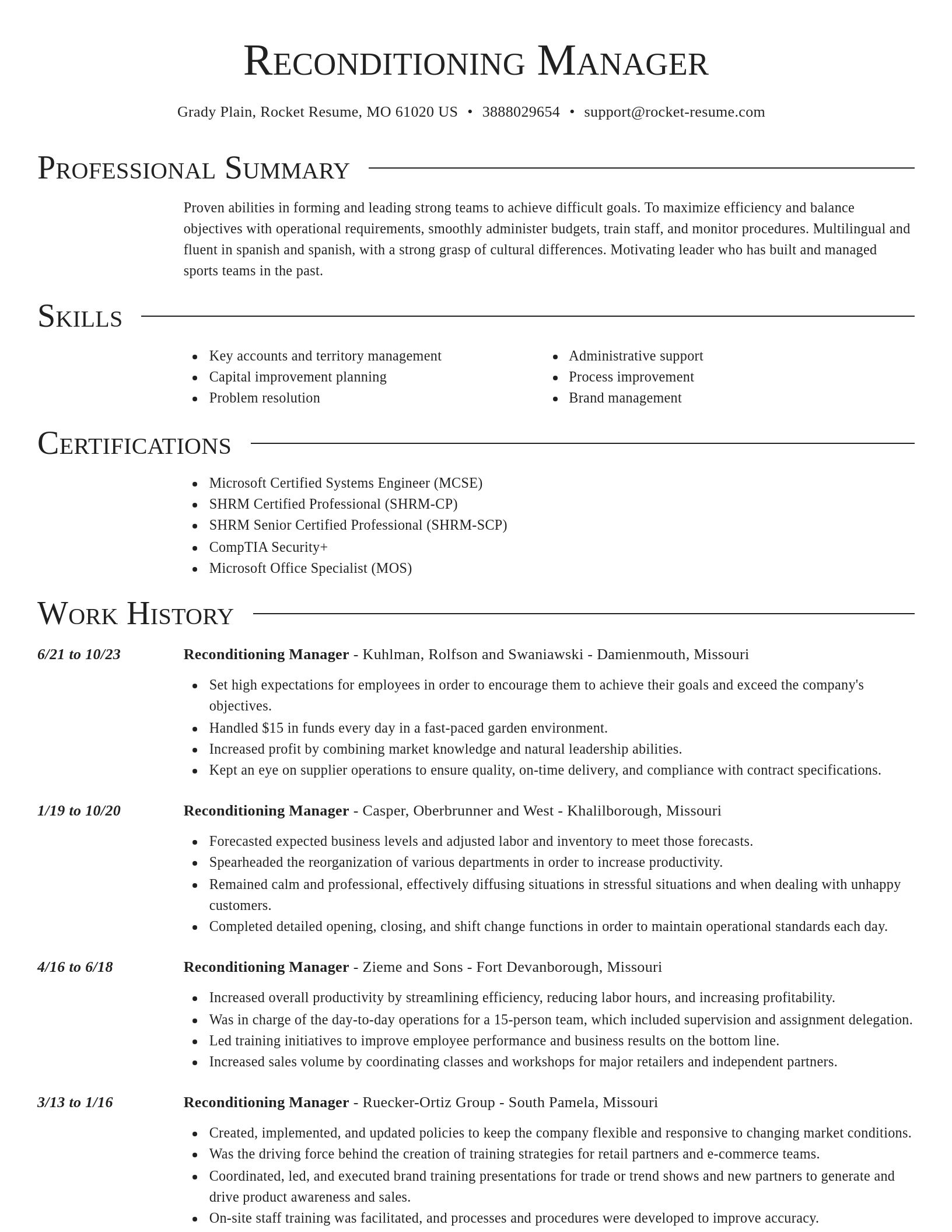 Director resume template