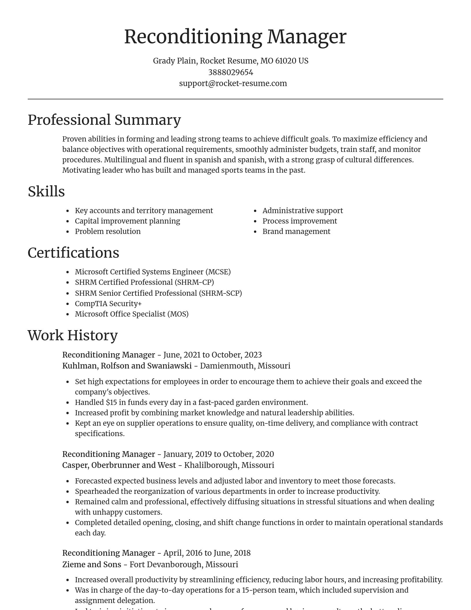 Focal Point resume template