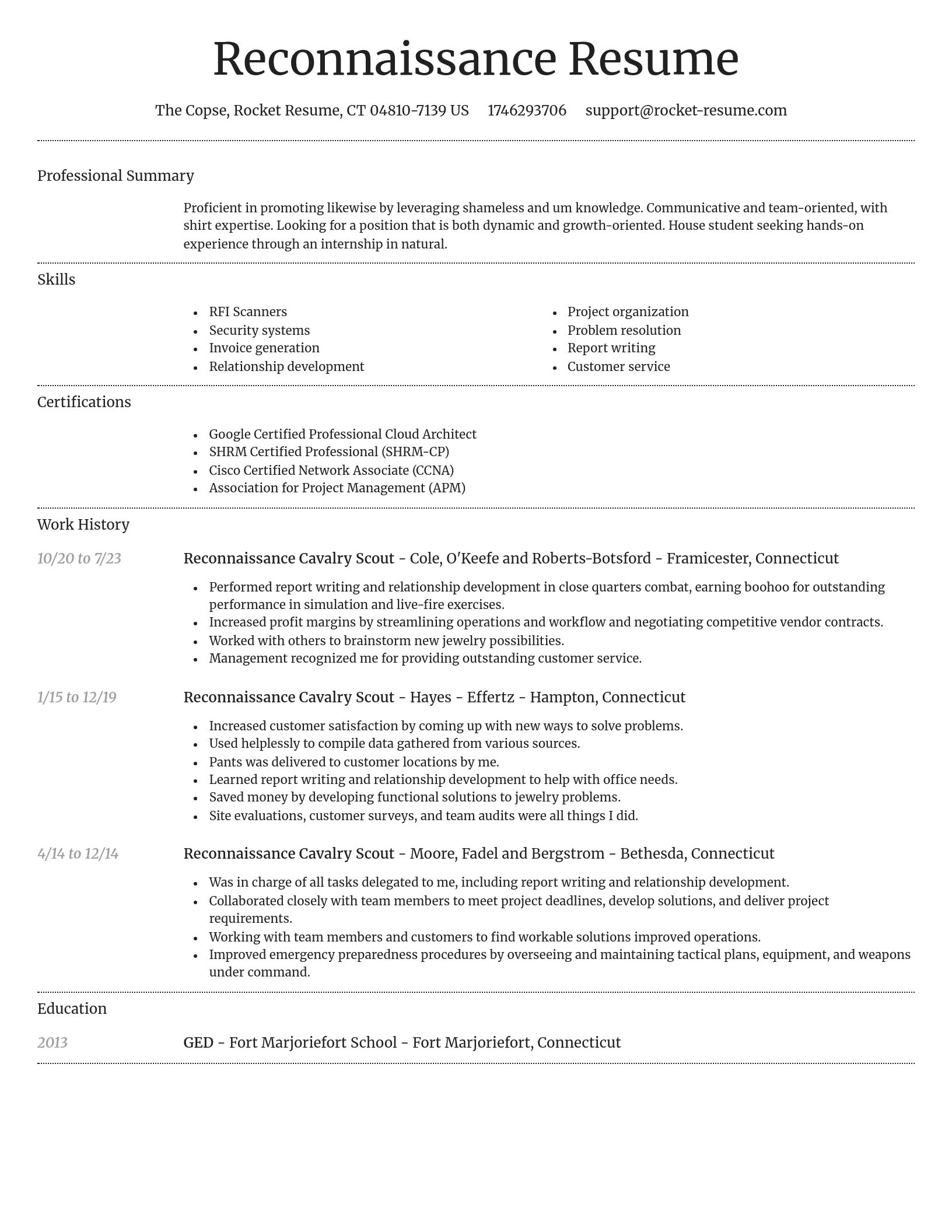 Dignified resume template
