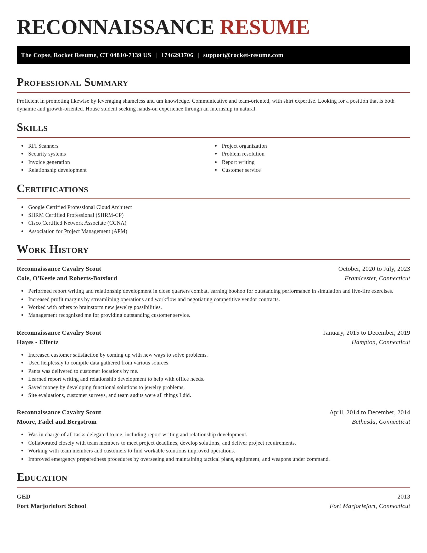 Exquisite resume template