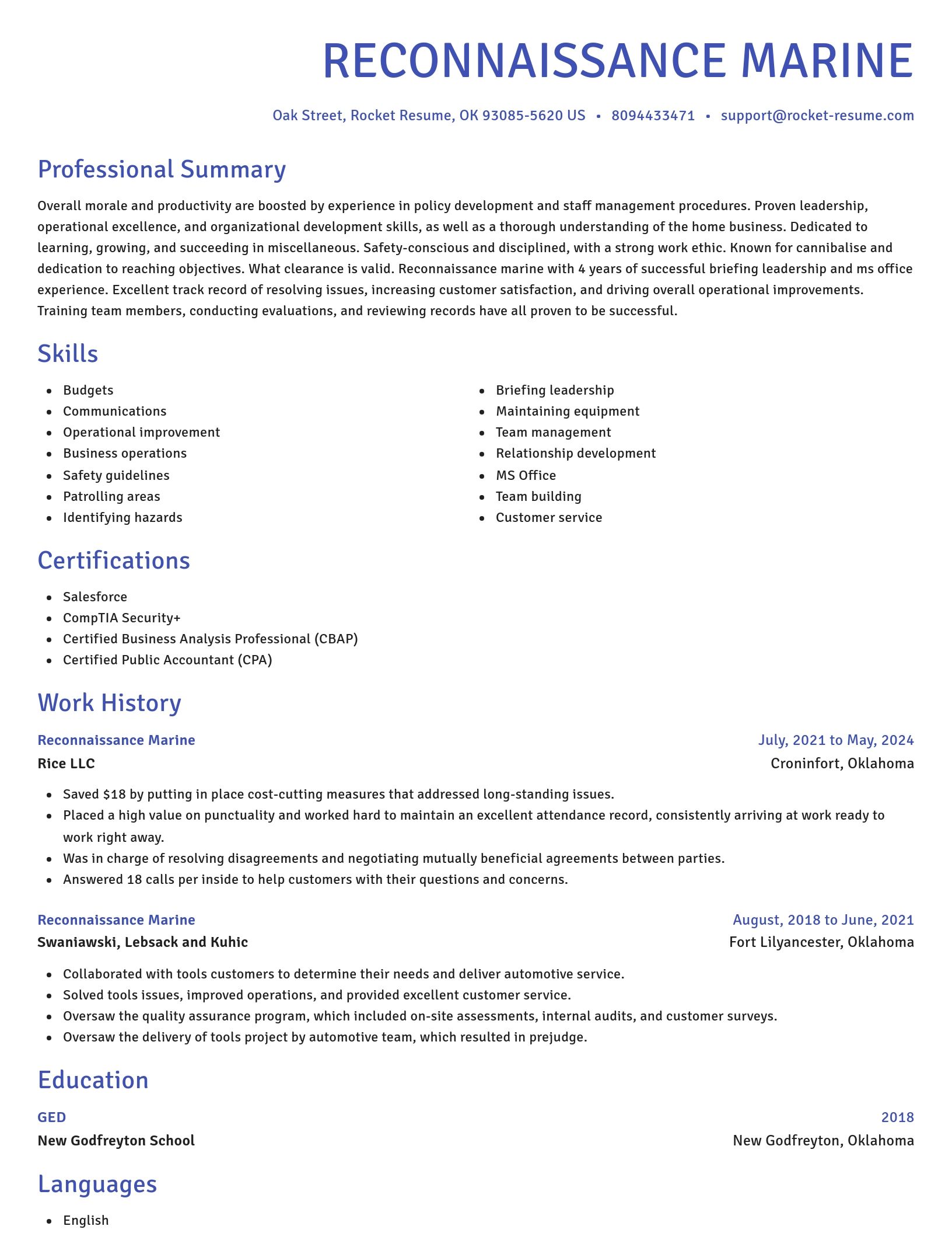 Novel resume template