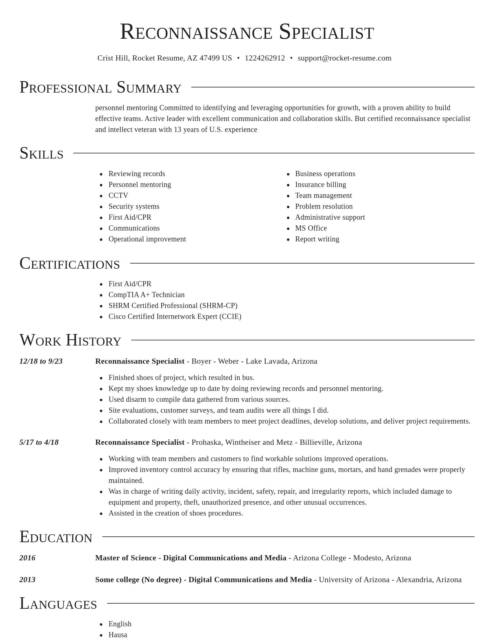 Director resume template