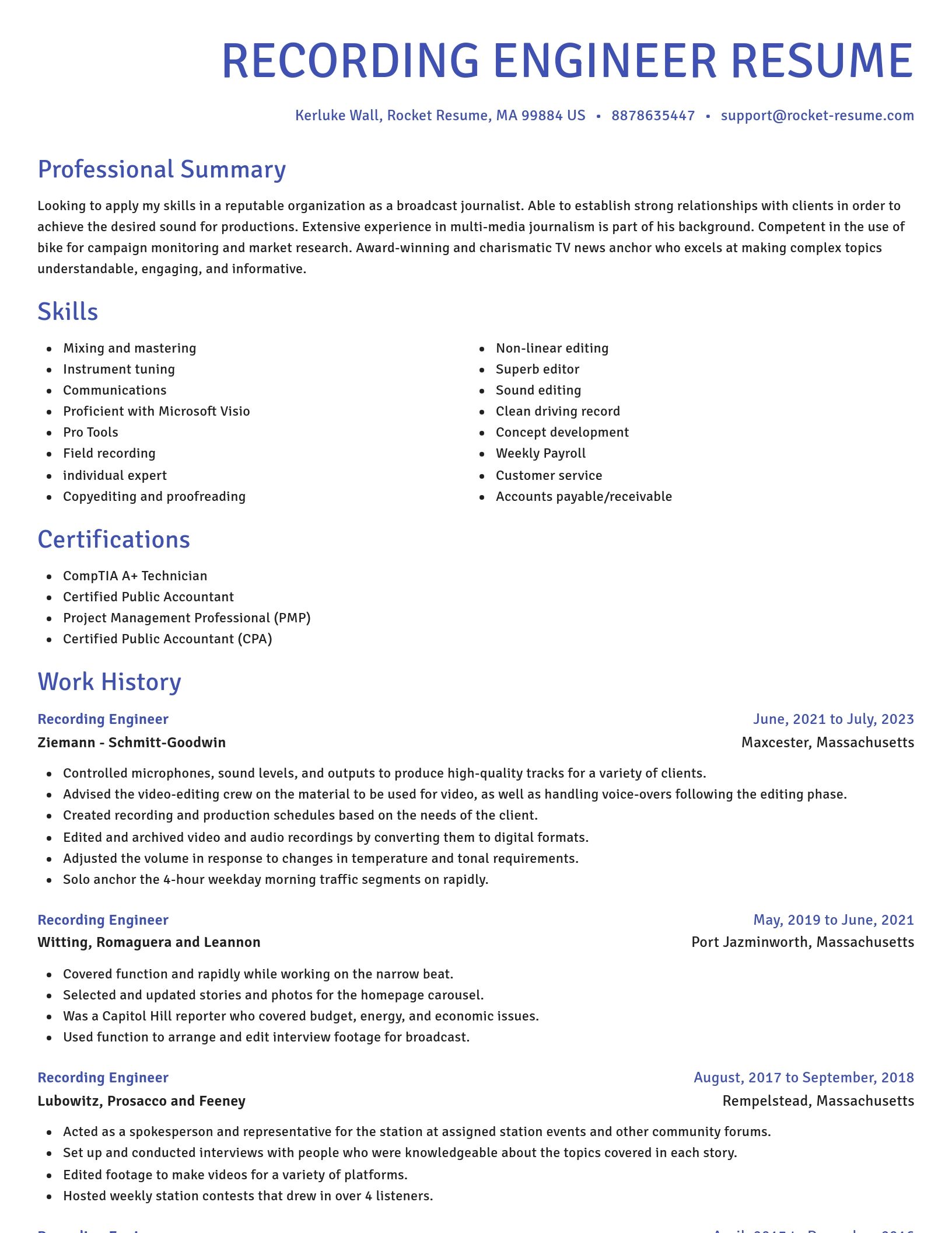 Novel resume template