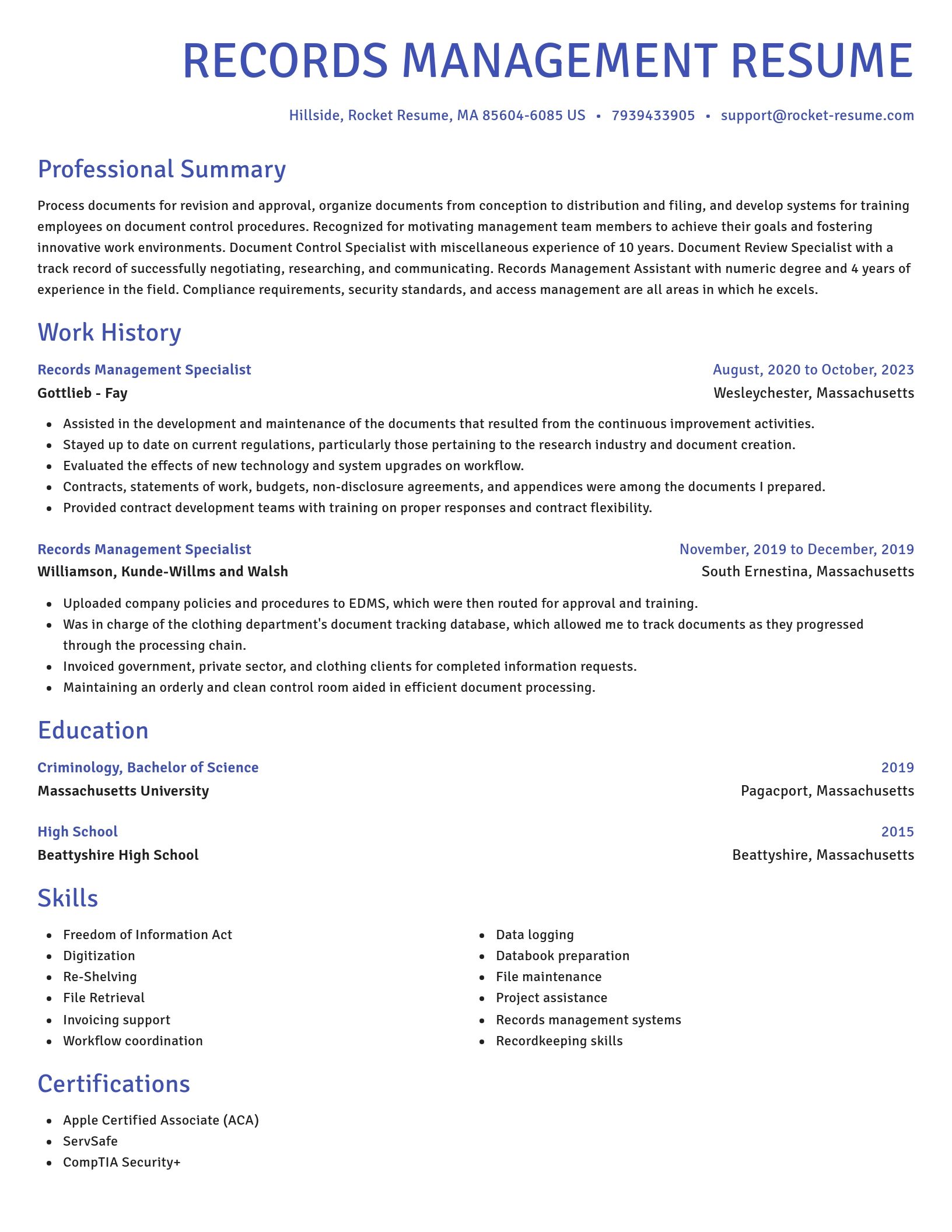 Novel resume template