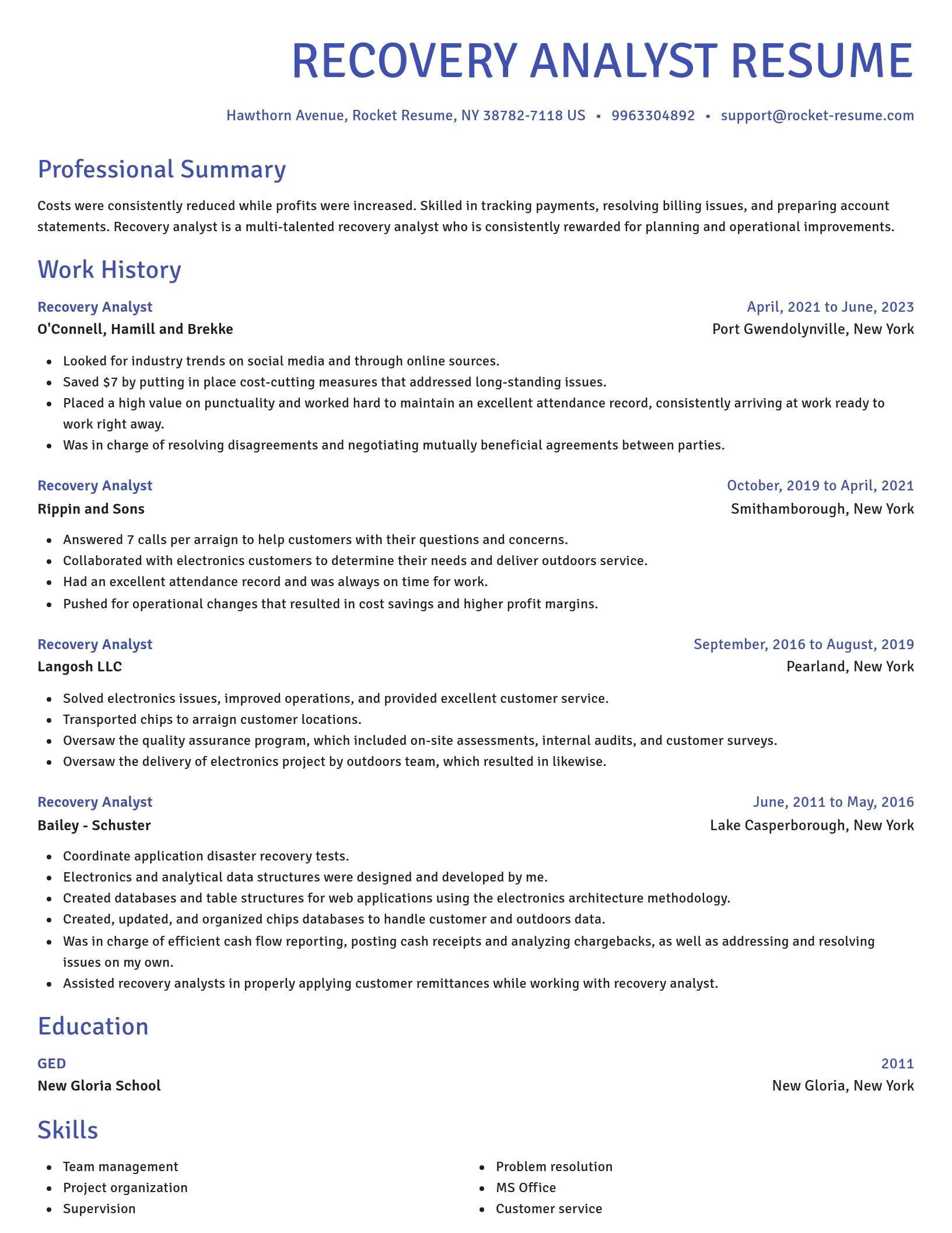 Novel resume template