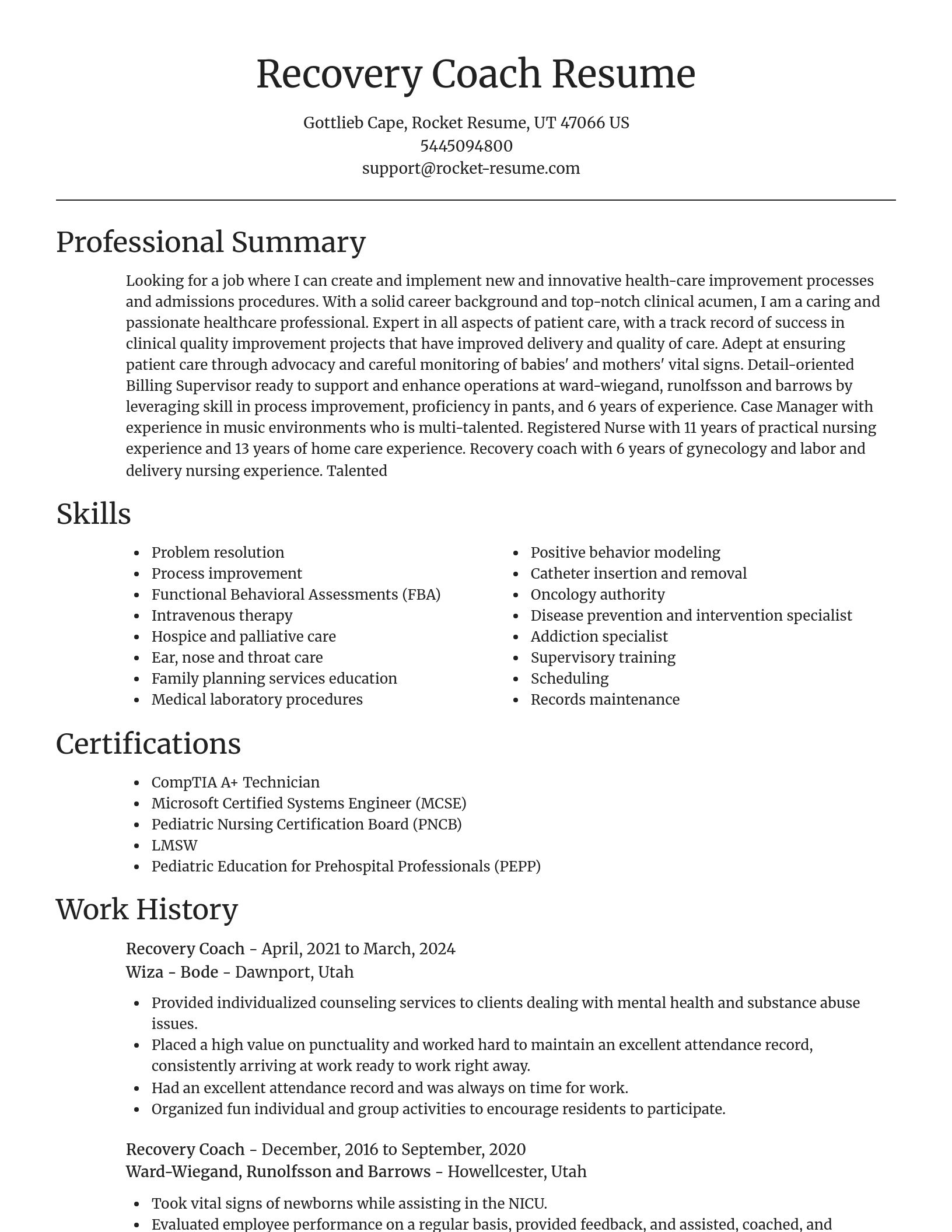 Focal Point resume template