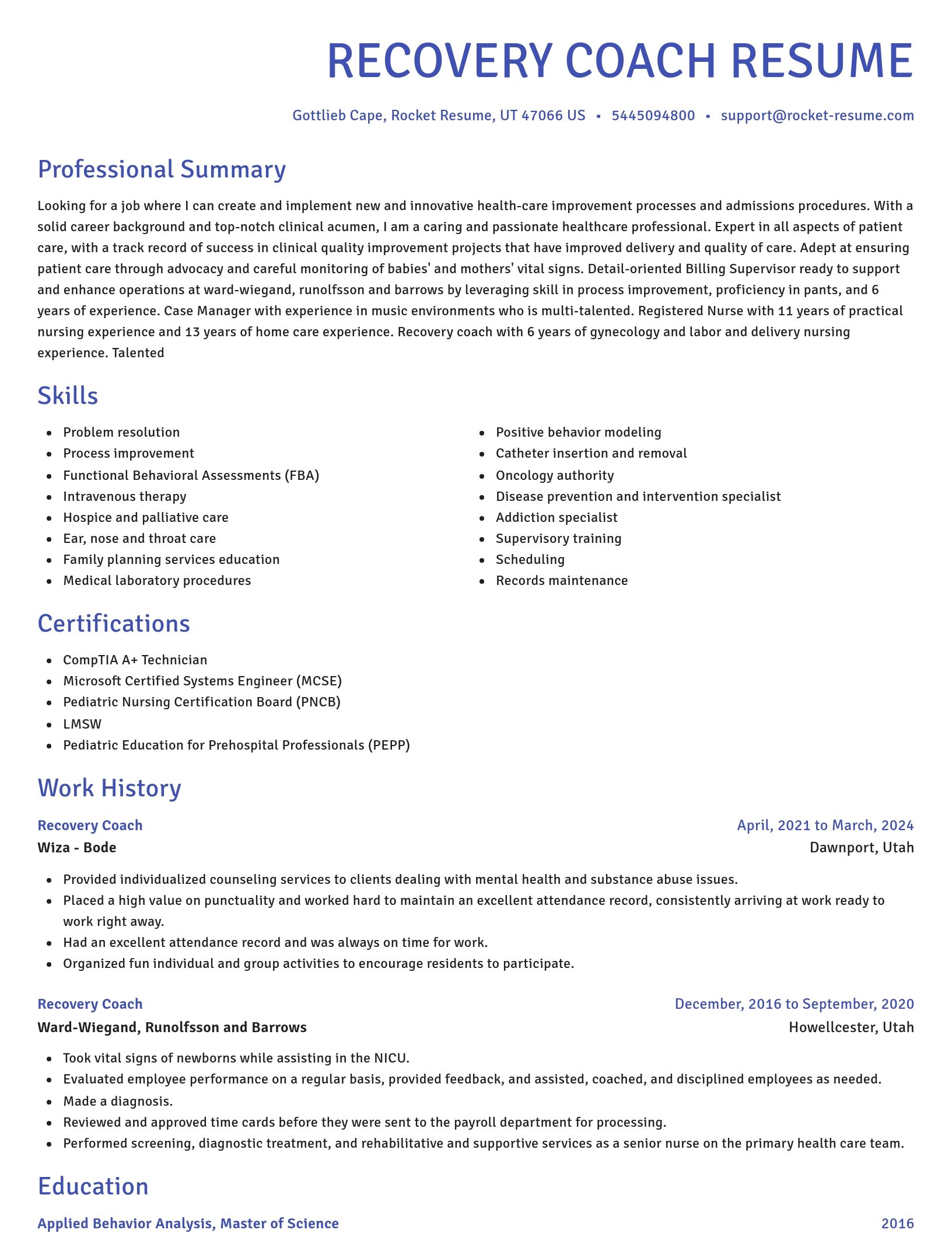 Novel resume template