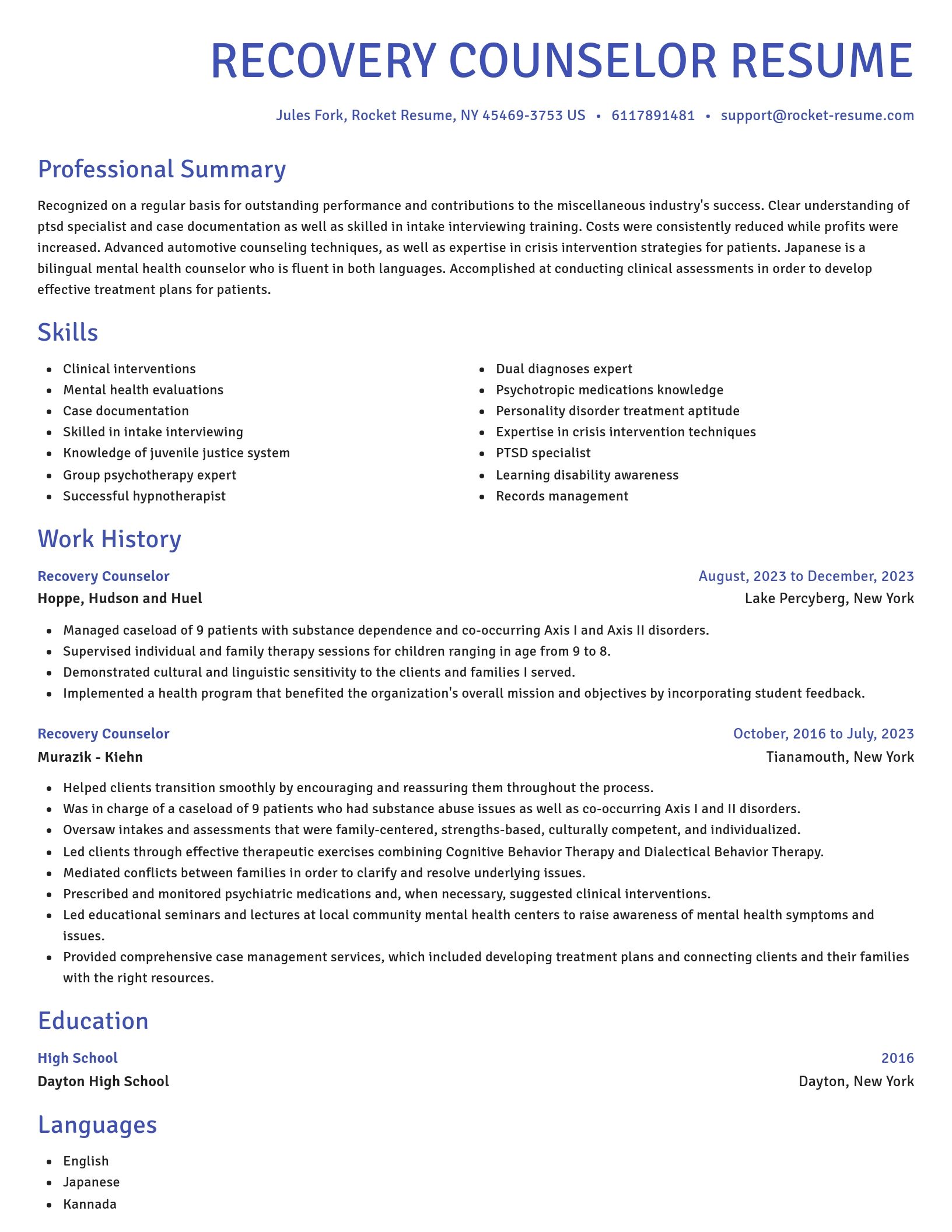 Novel resume template