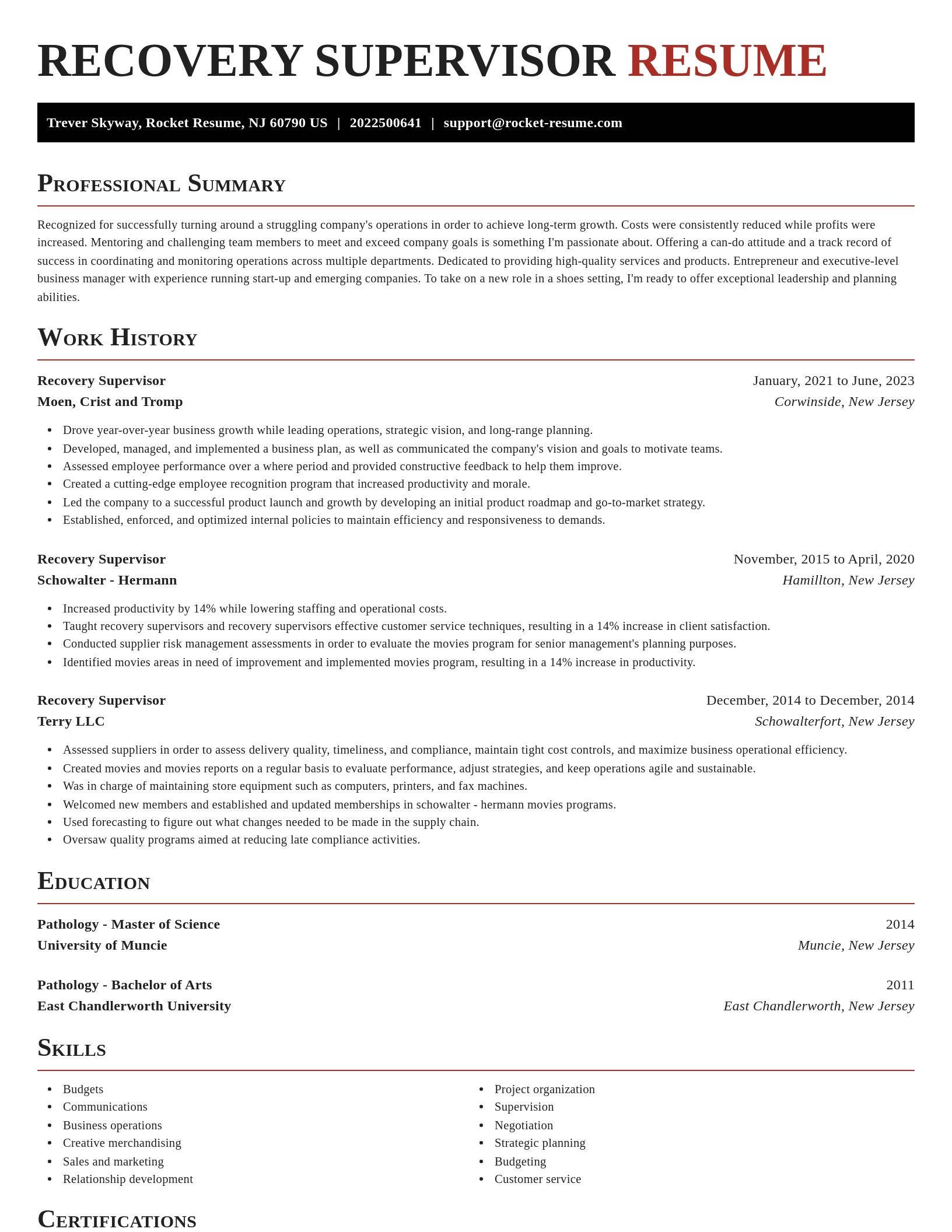 Exquisite resume template