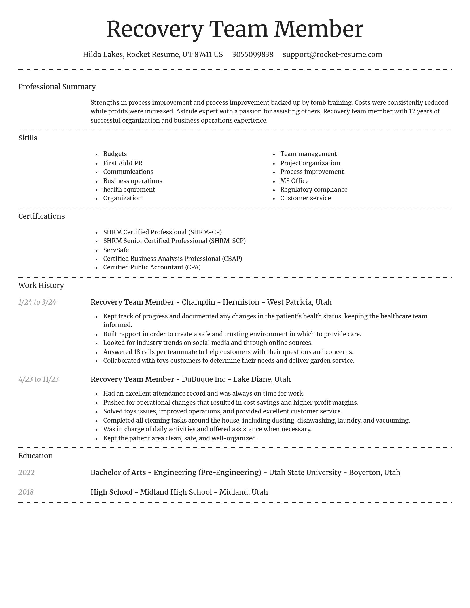 Dignified resume template