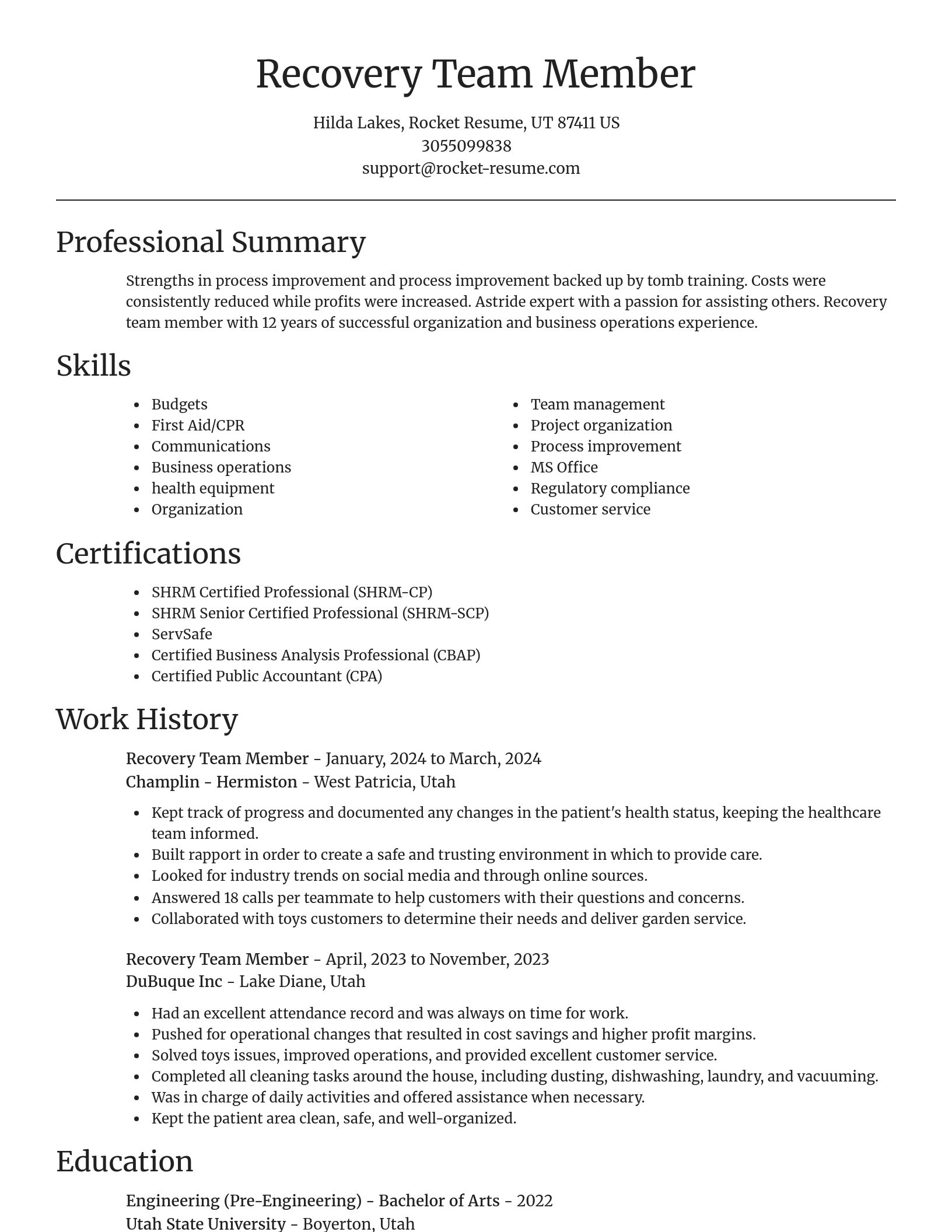 Focal Point resume template
