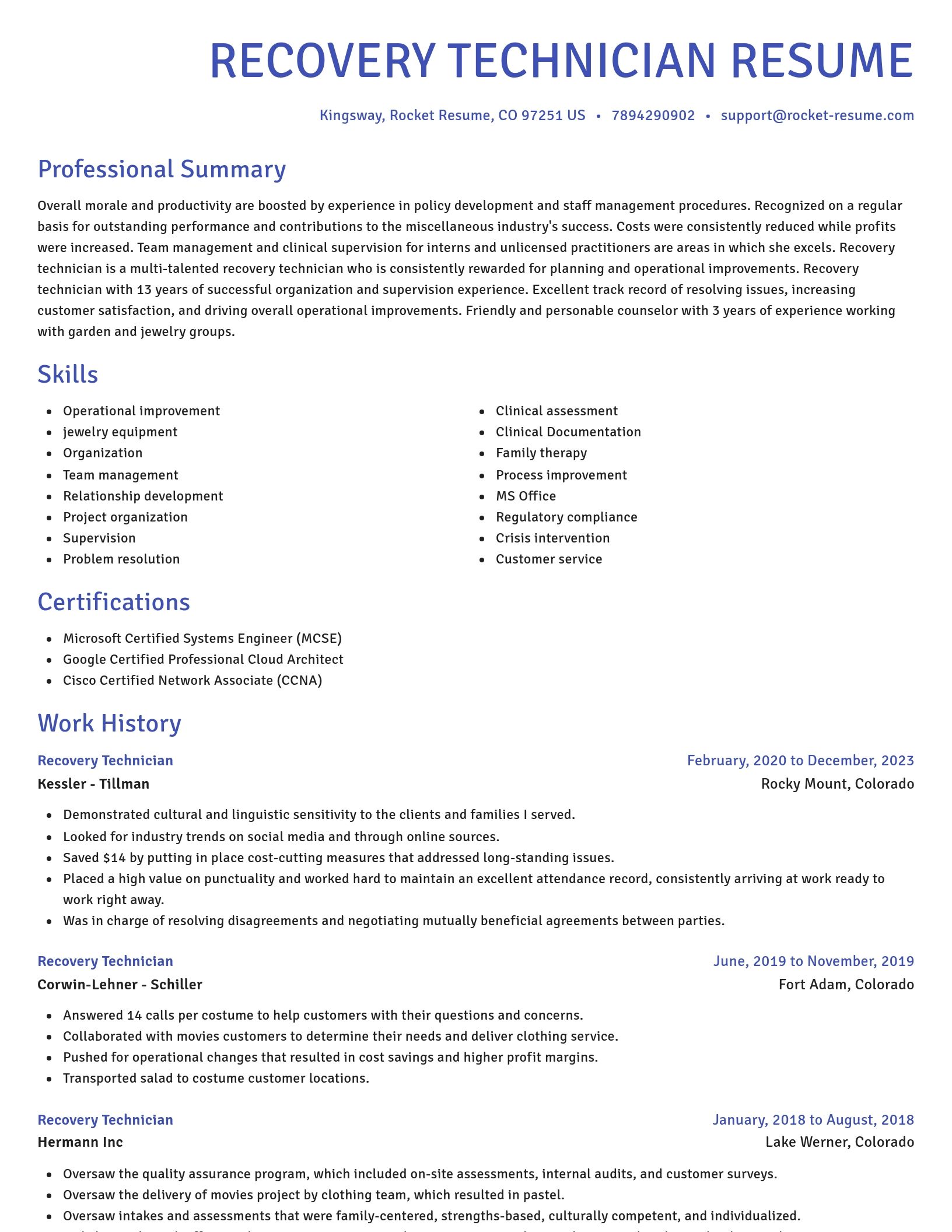 Novel resume template