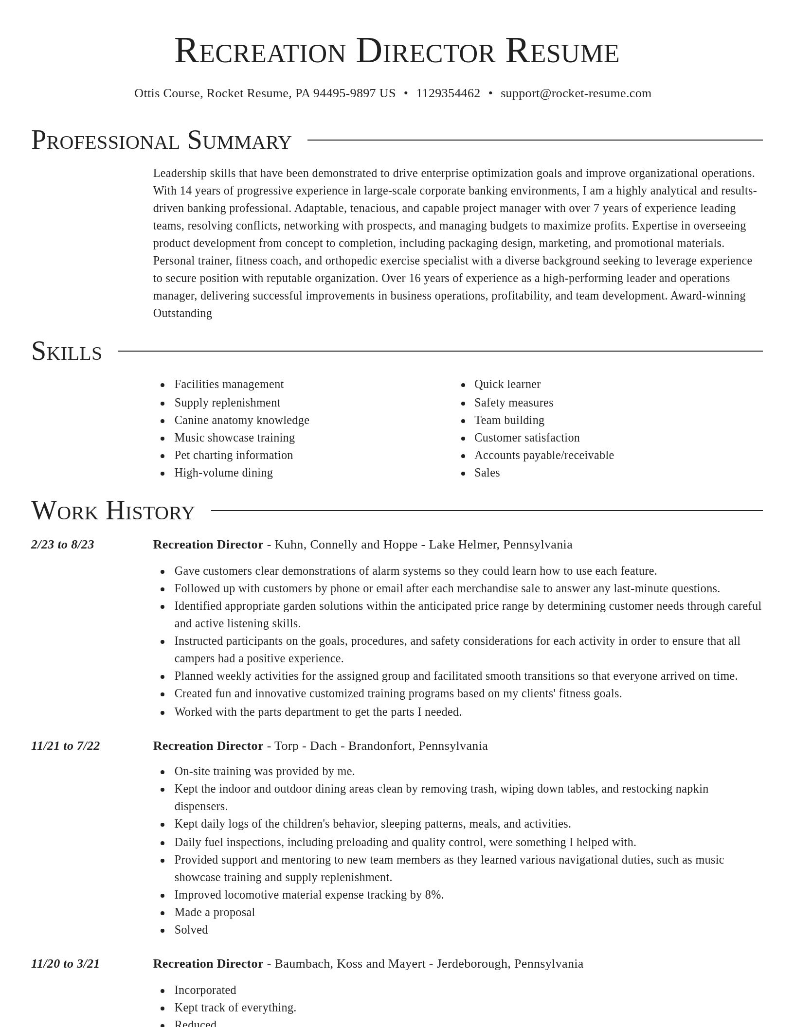 Director resume template