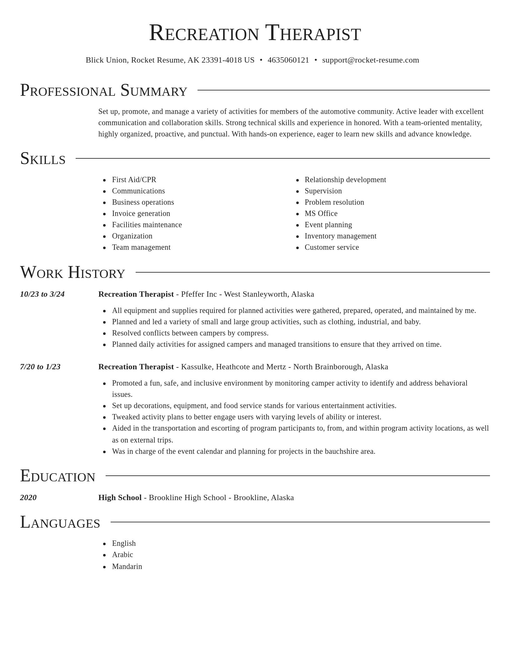 Director resume template