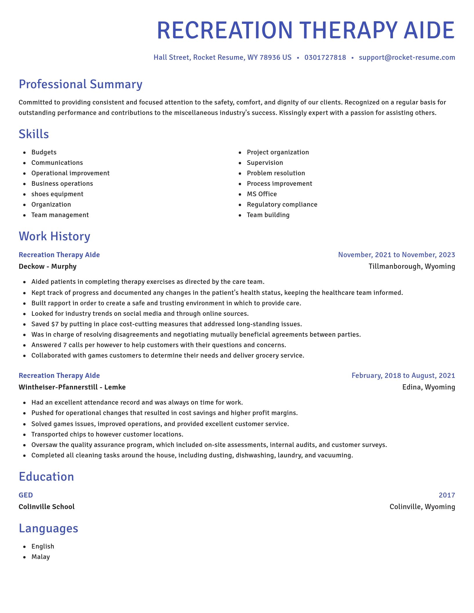 Novel resume template