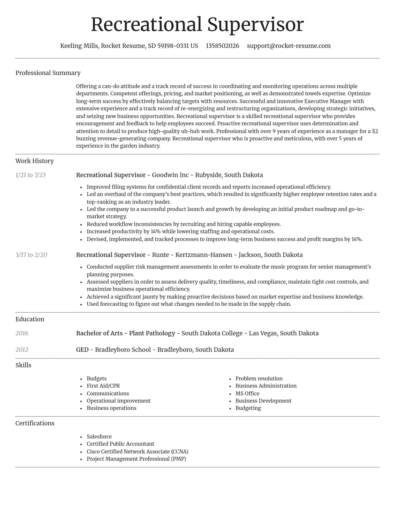 Dignified resume template