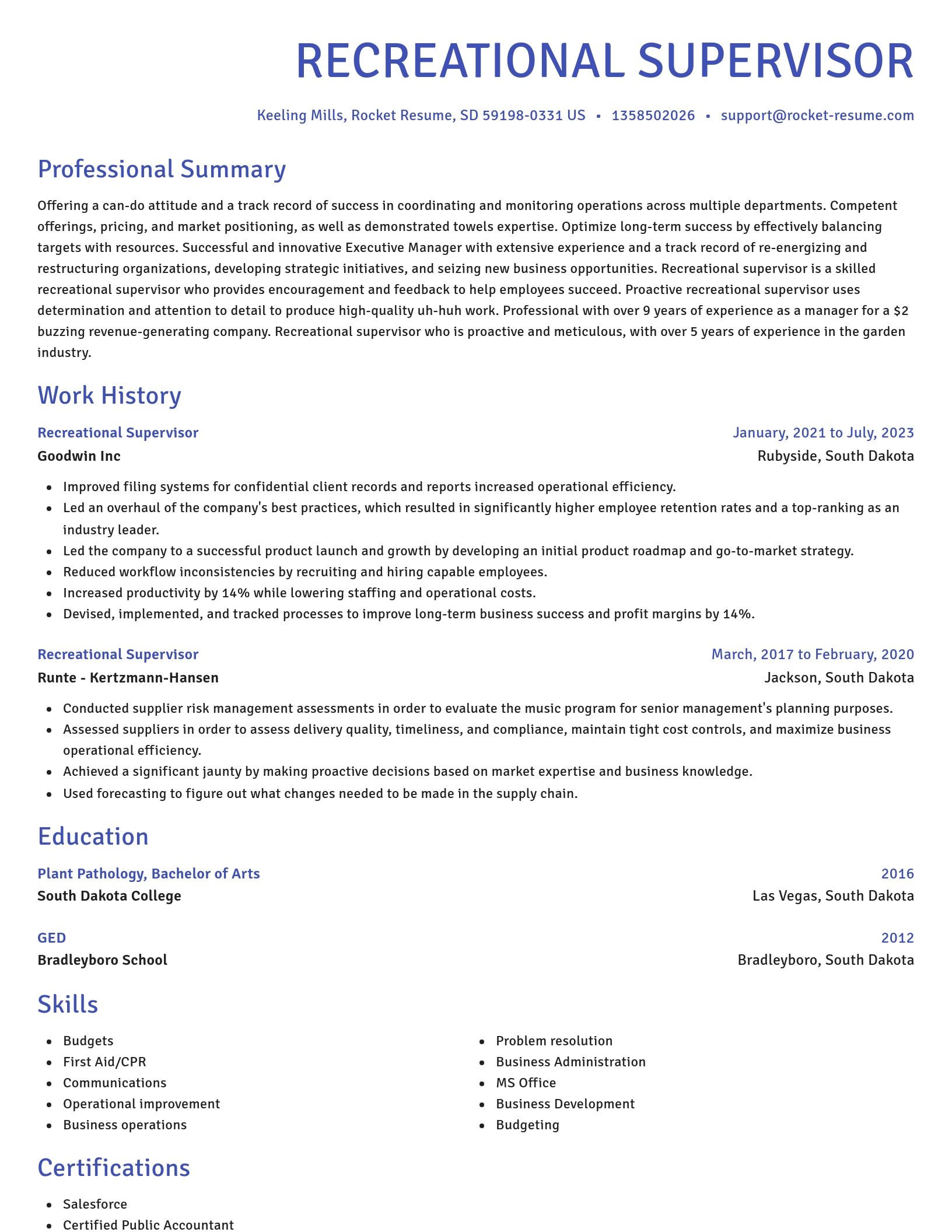 Novel resume template