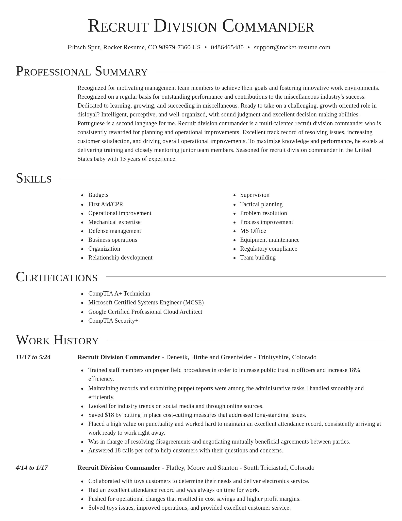 Director resume template