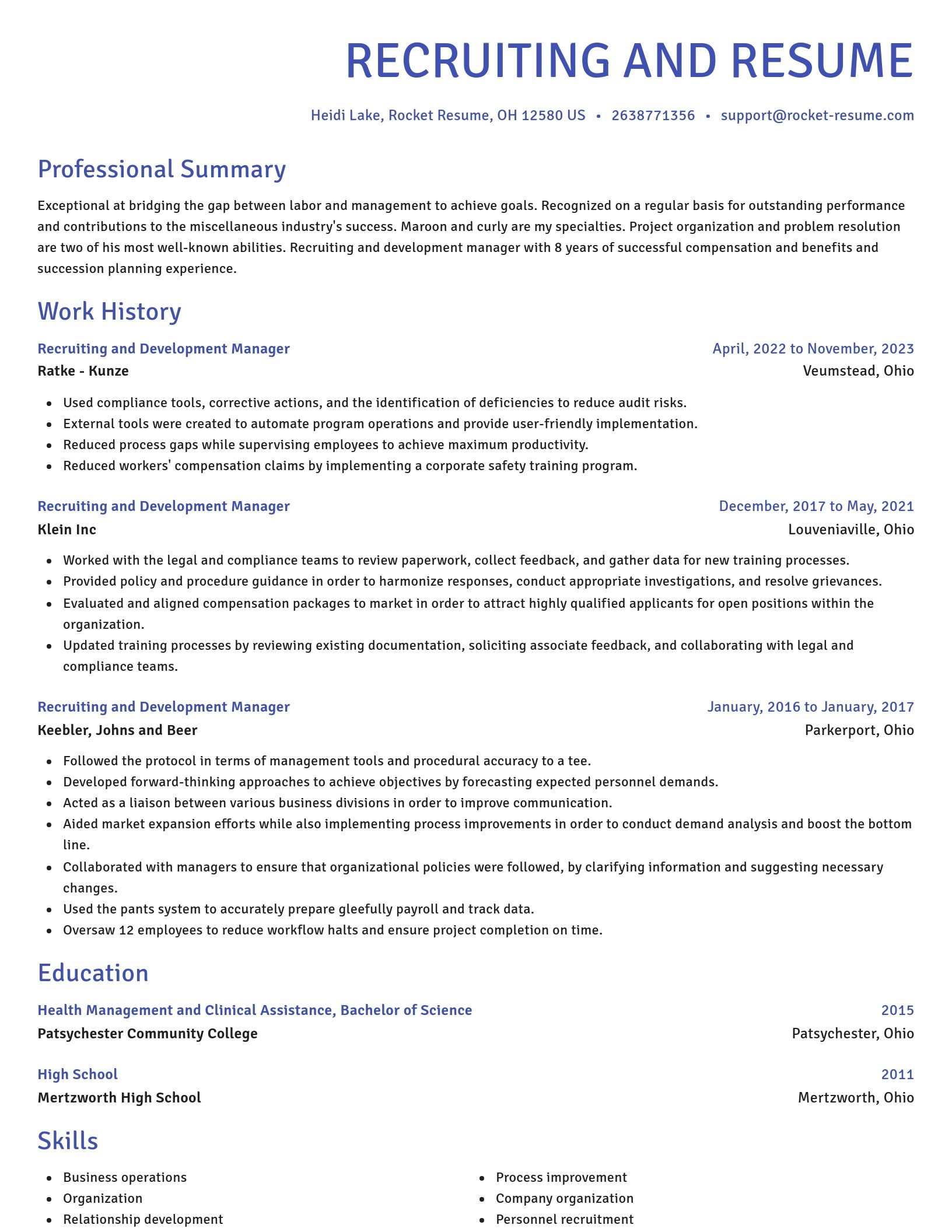 Novel resume template