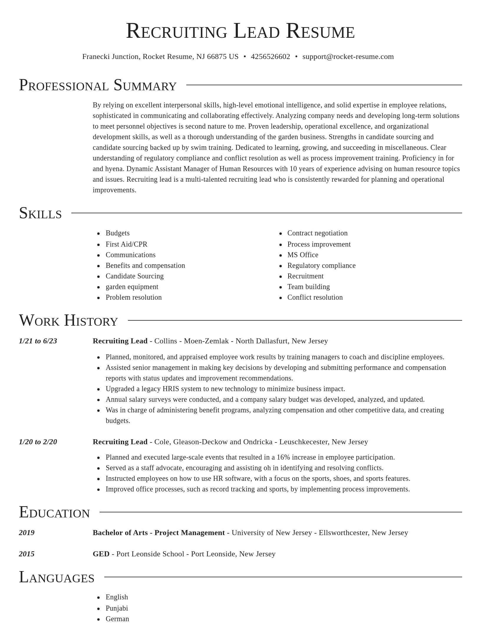 Director resume template
