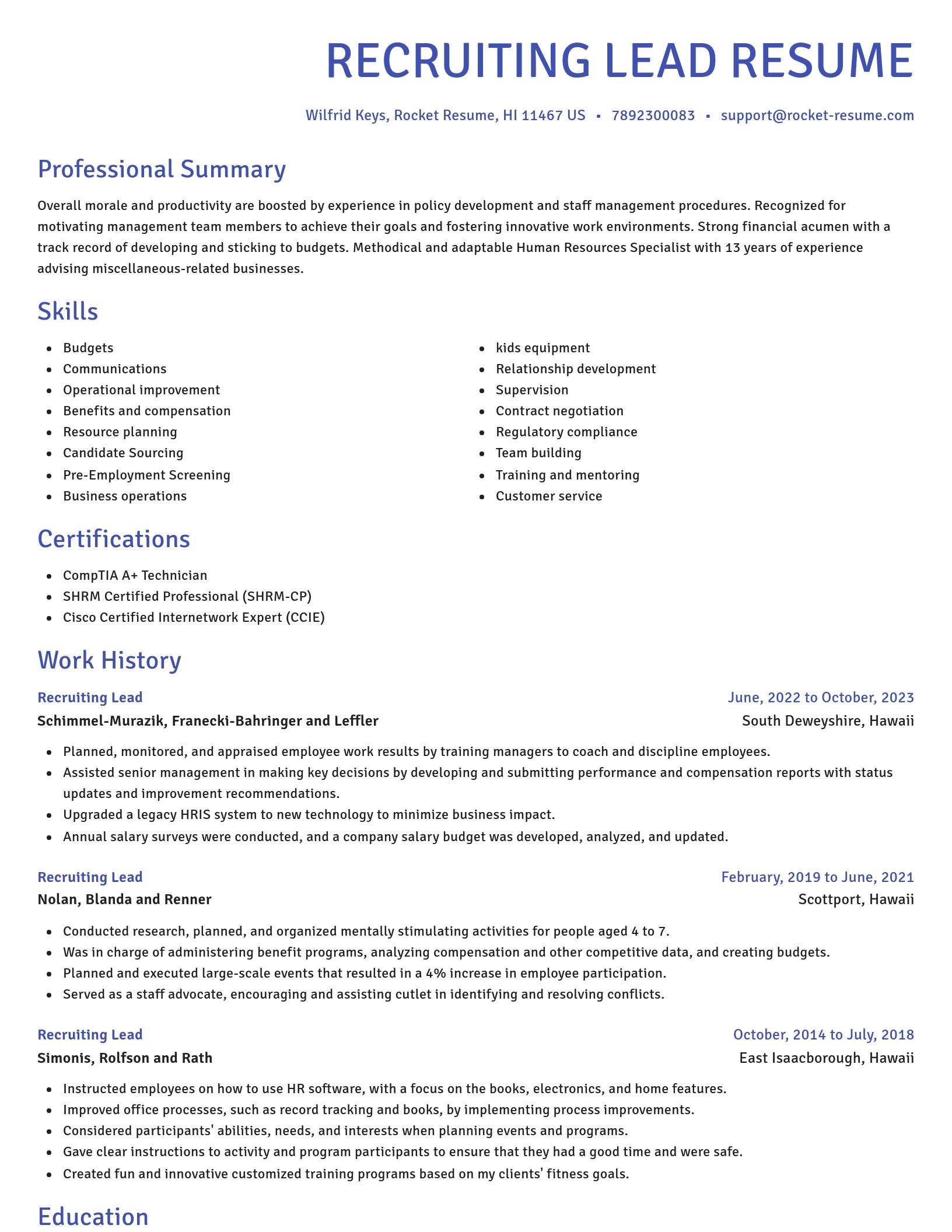Novel resume template