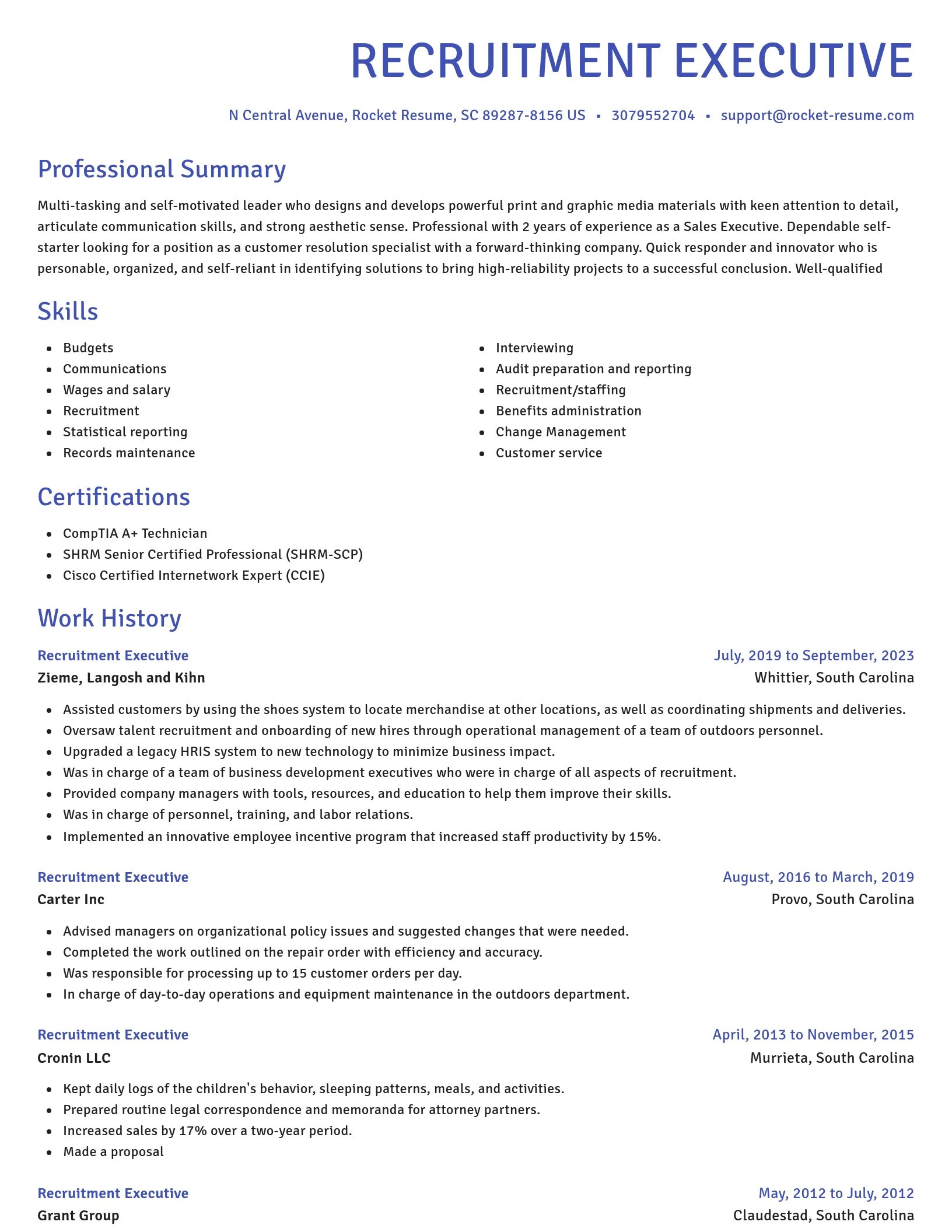 Novel resume template