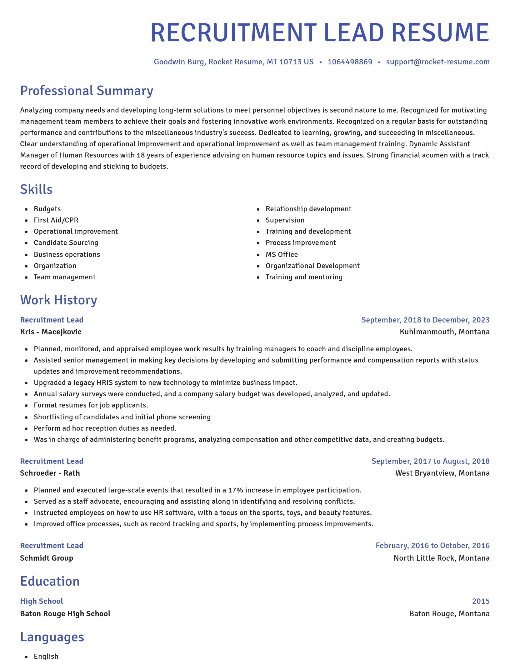 Novel resume template