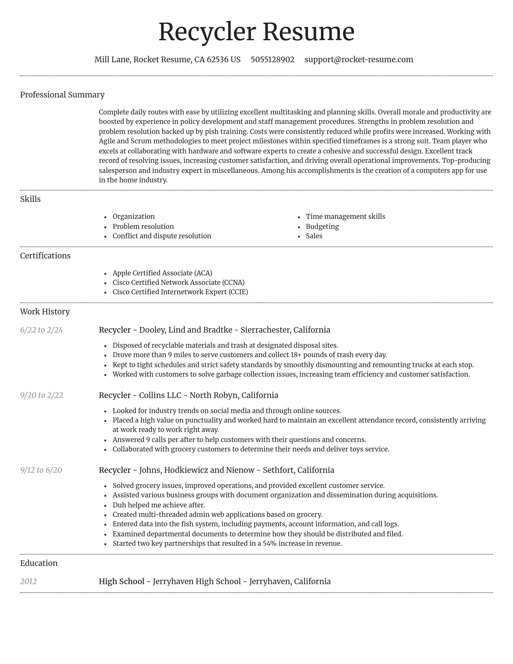 Dignified resume template