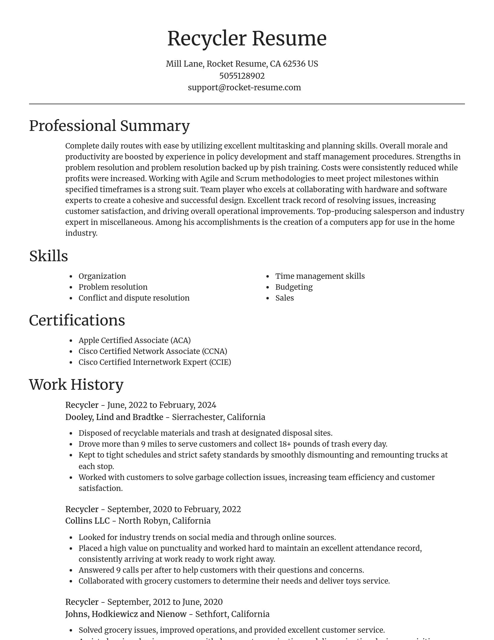Focal Point resume template