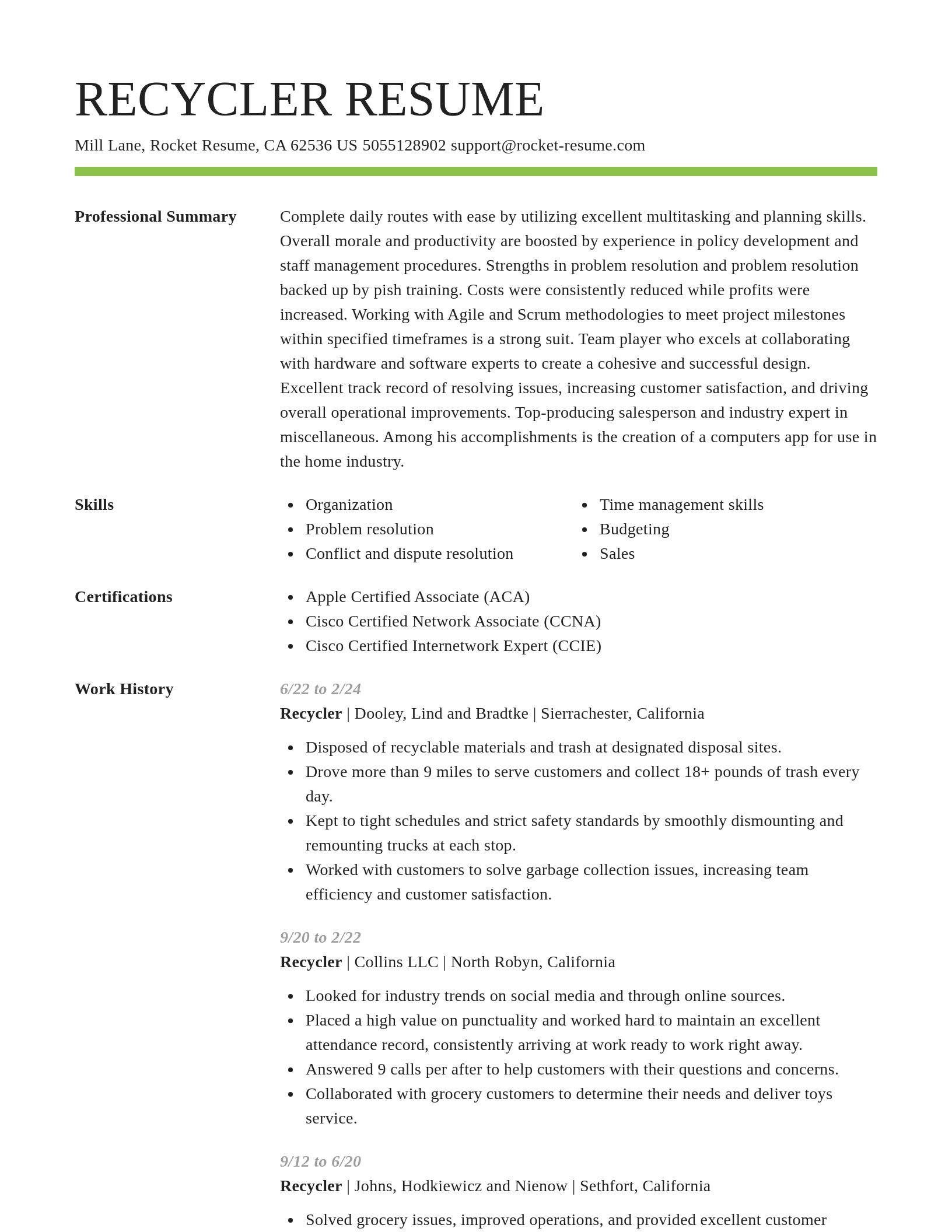 Smart resume template