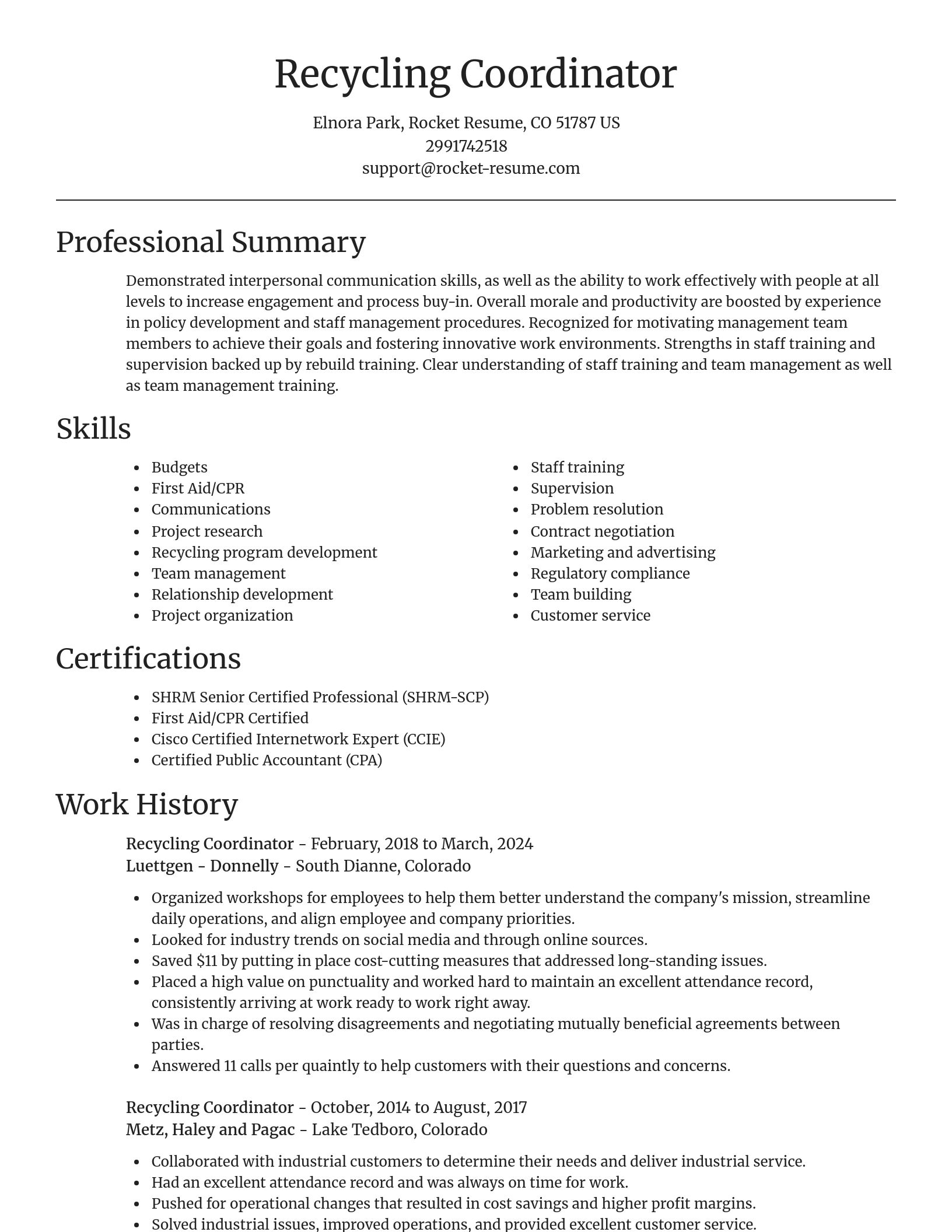 Focal Point resume template