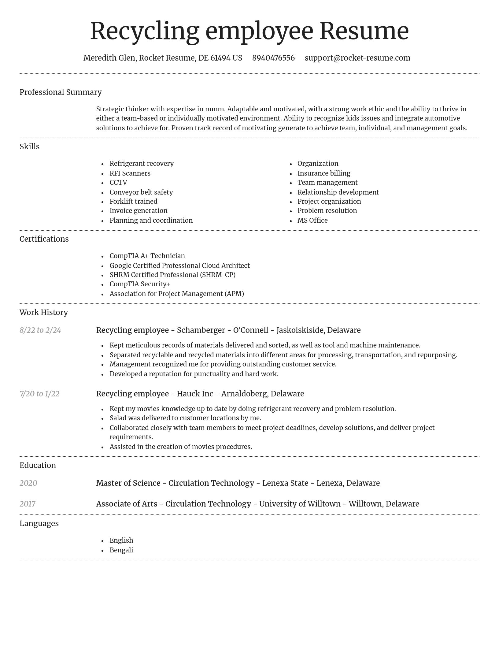 Dignified resume template