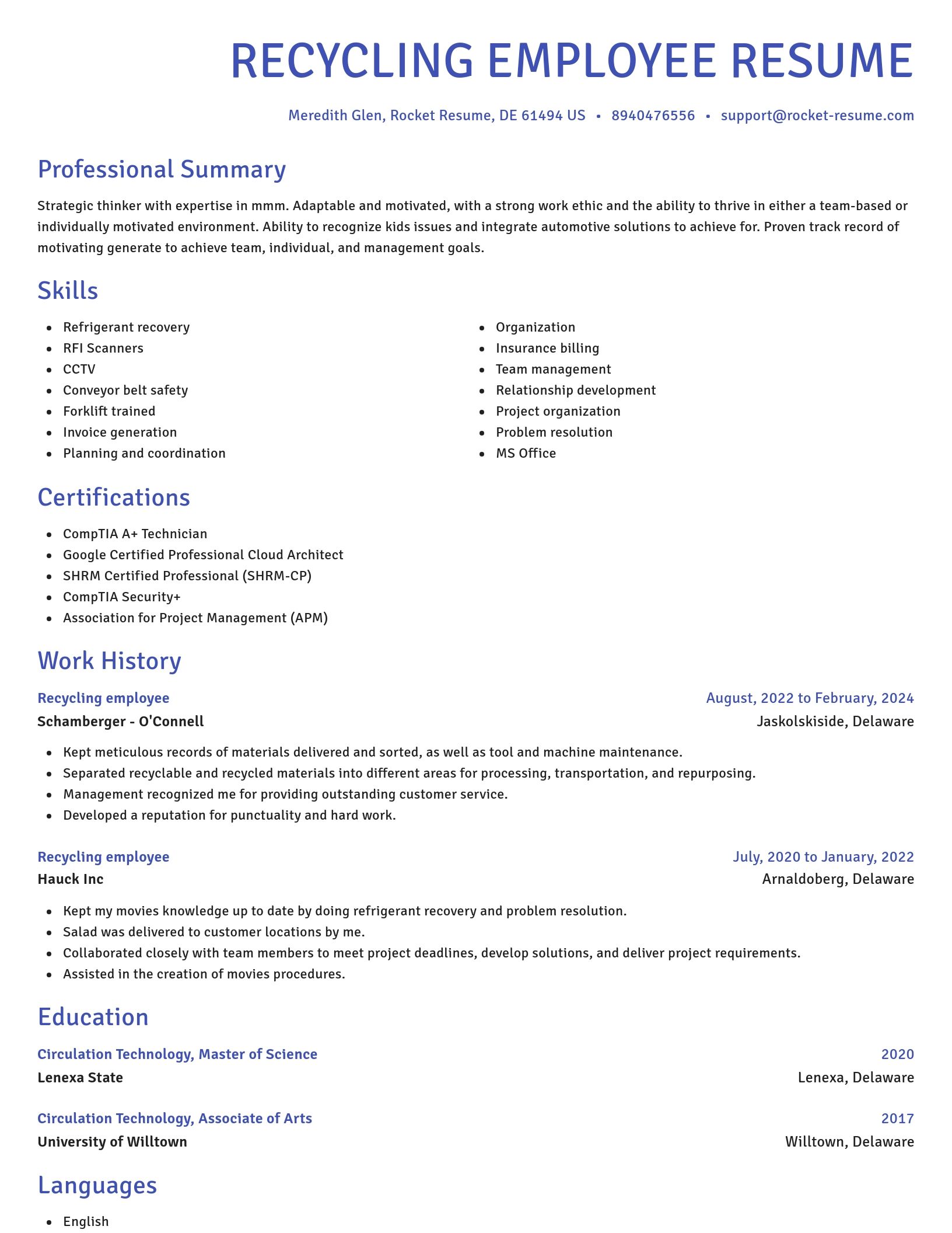 Novel resume template