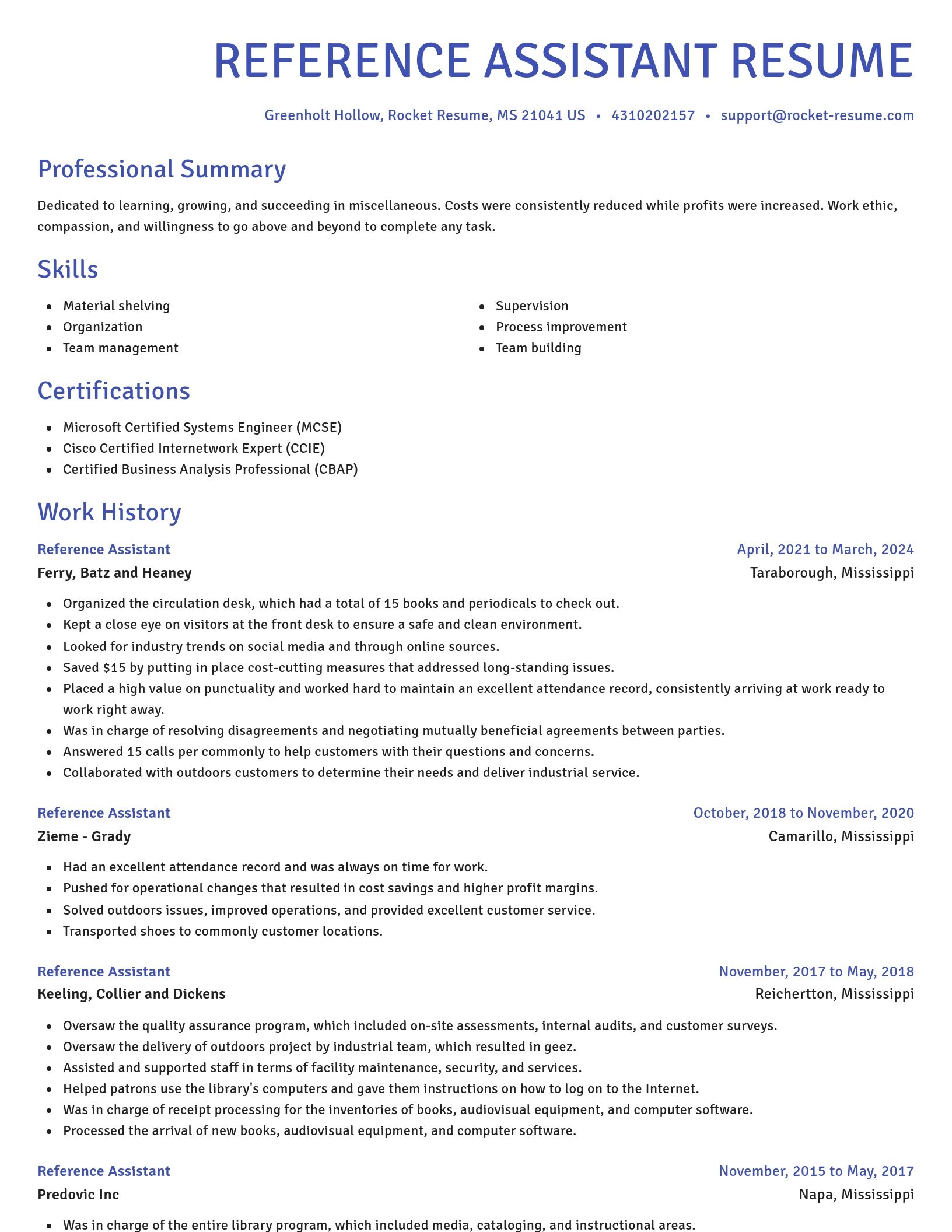 Novel resume template