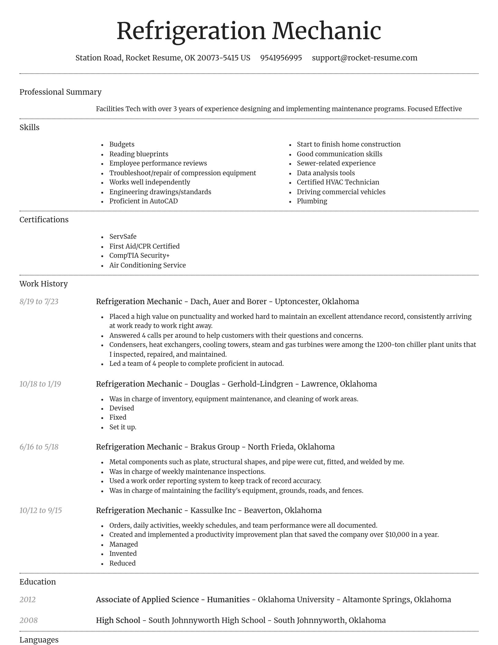 Dignified resume template