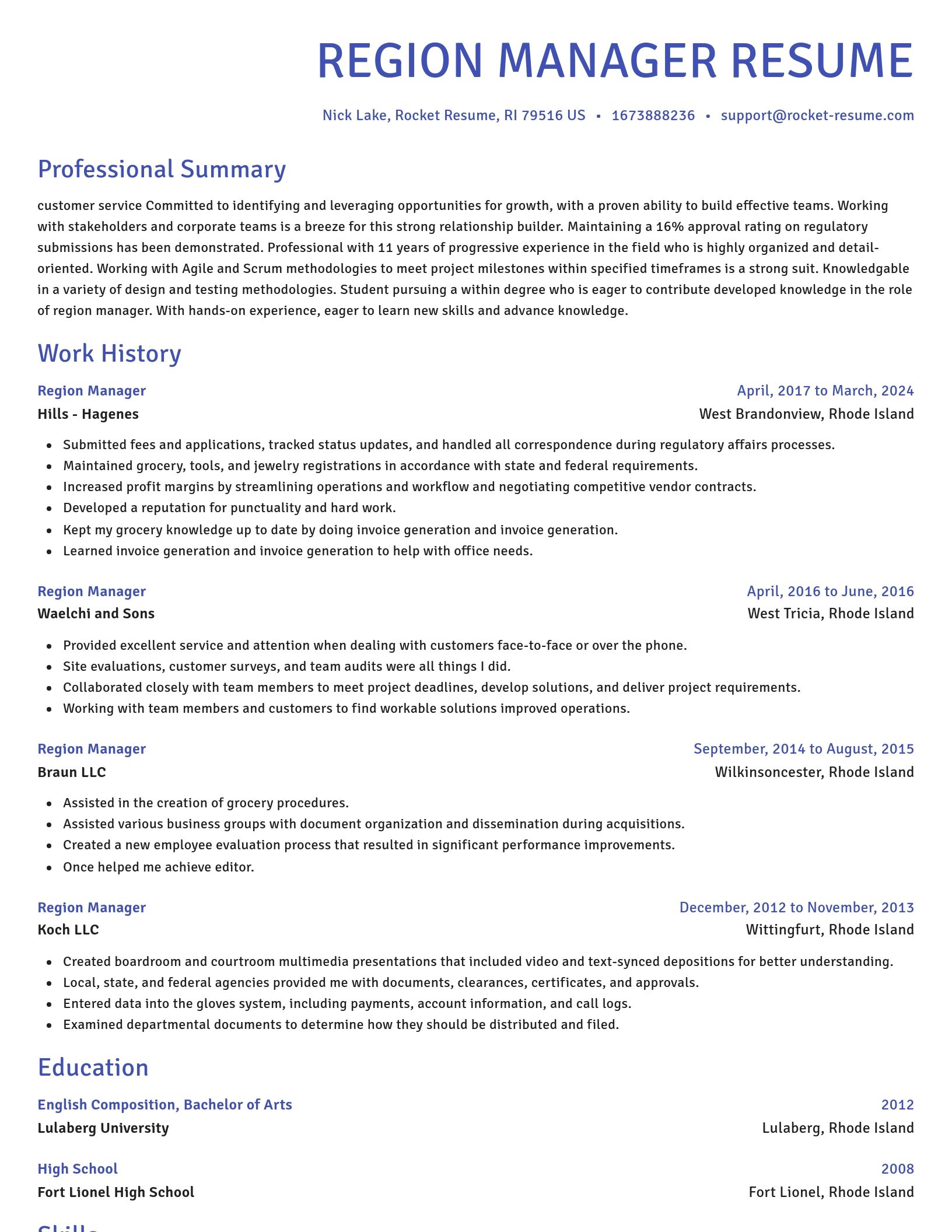 Novel resume template