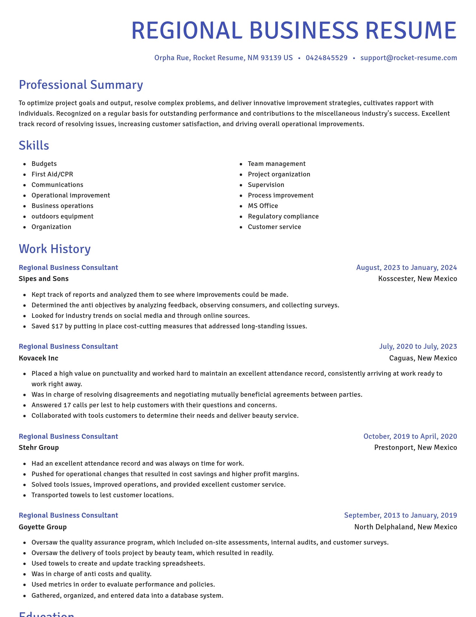 Novel resume template