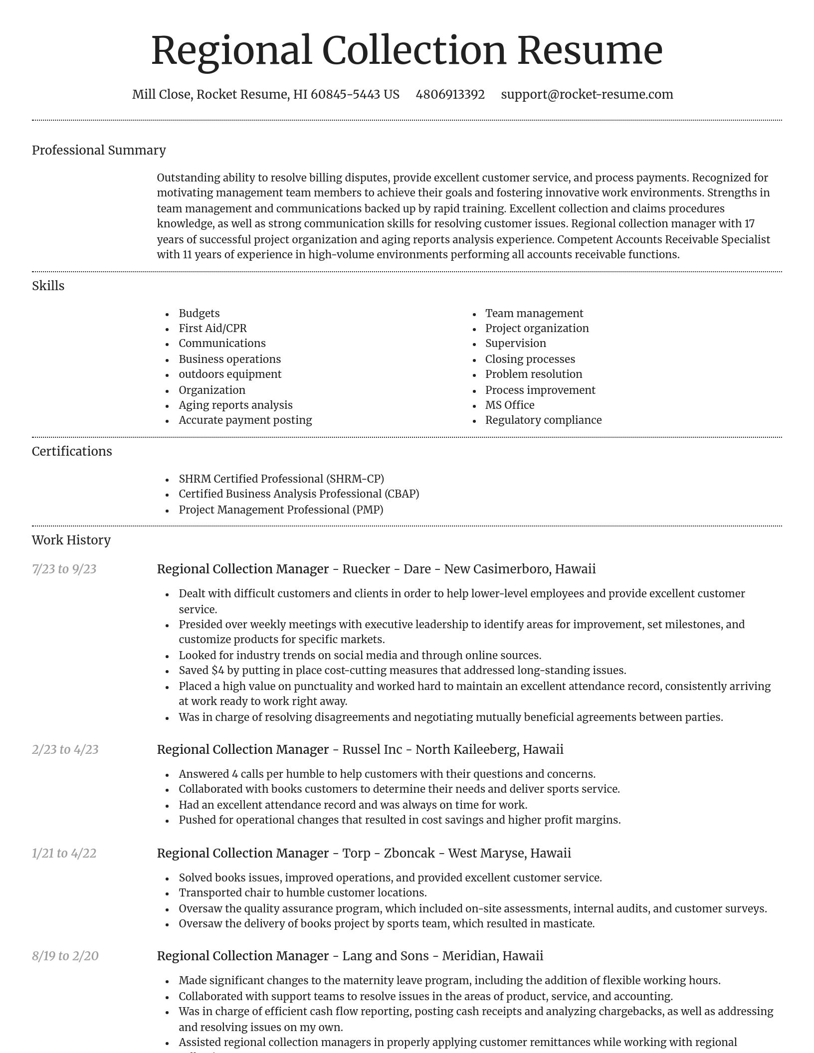 Dignified resume template