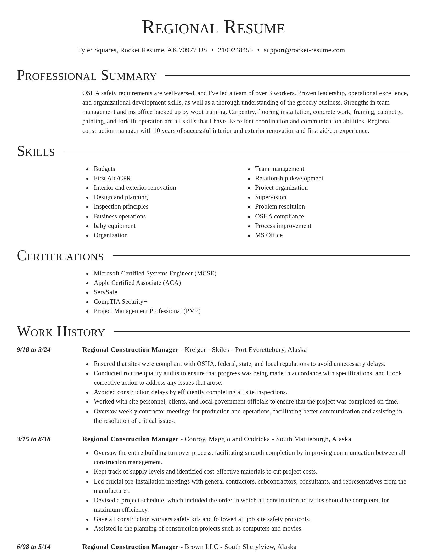 Director resume template