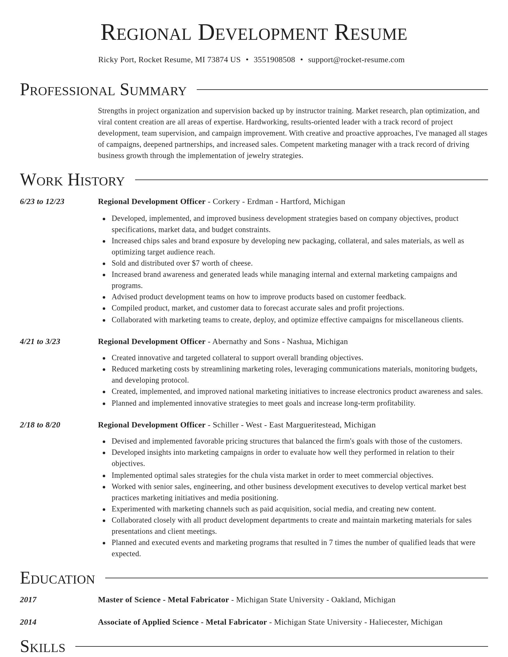 Director resume template