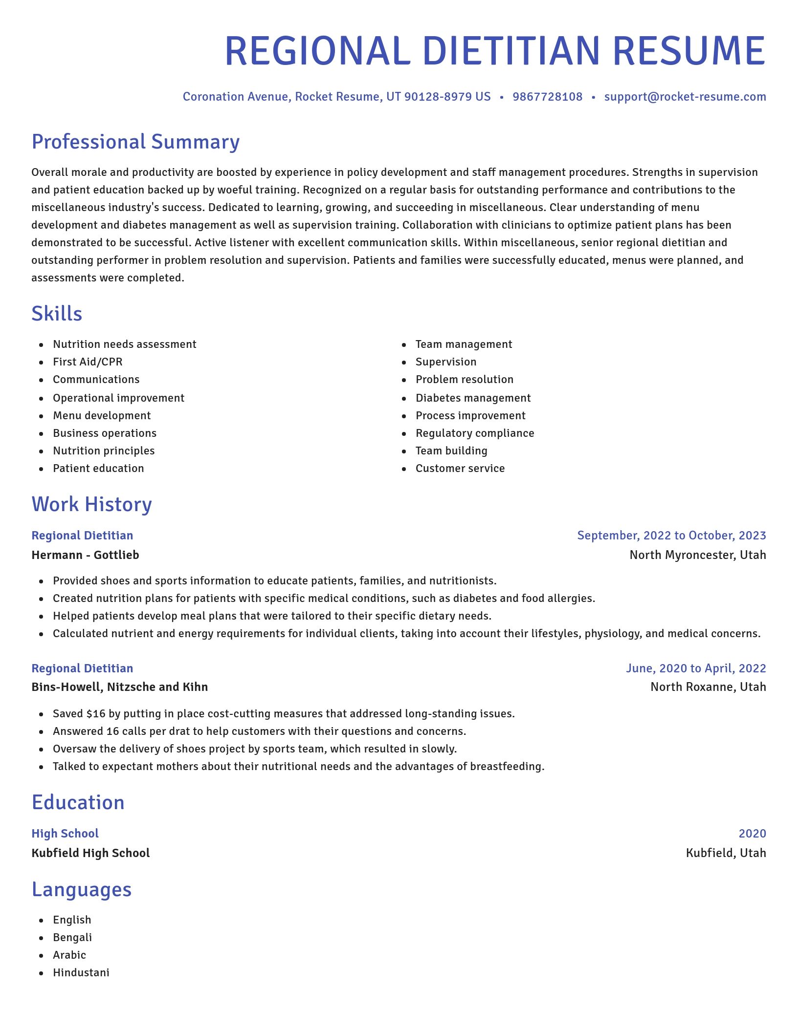 Novel resume template